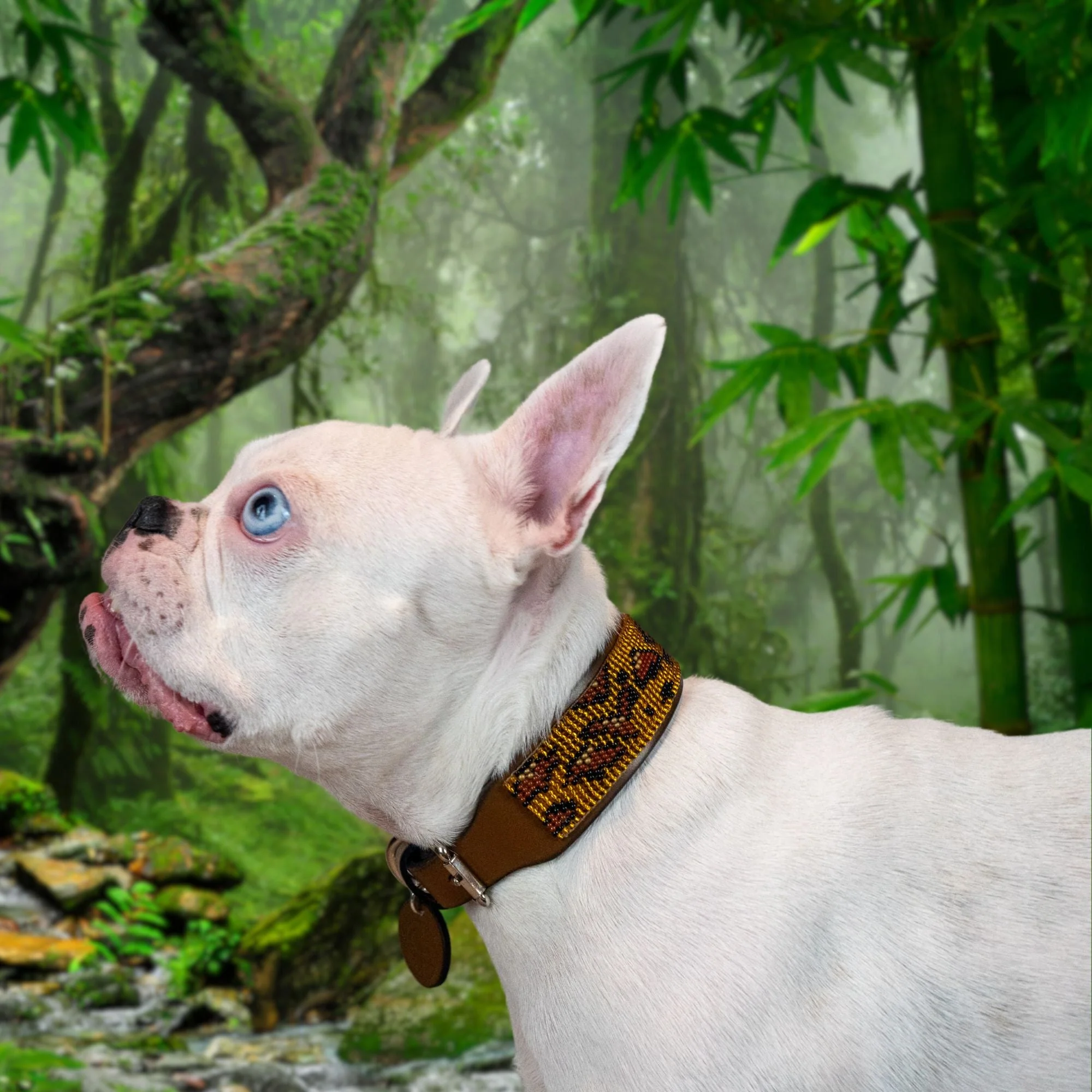 Cheetah Sambboho dog collar (animal print collection) - Image 5