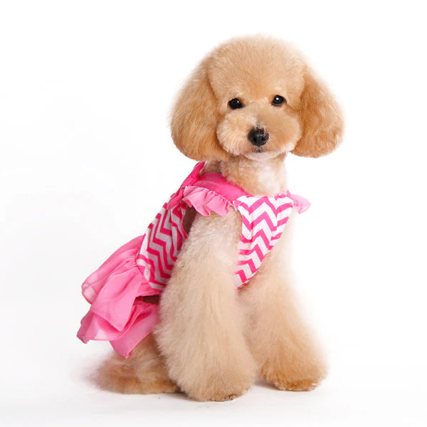 Chevron Dress - Image 8