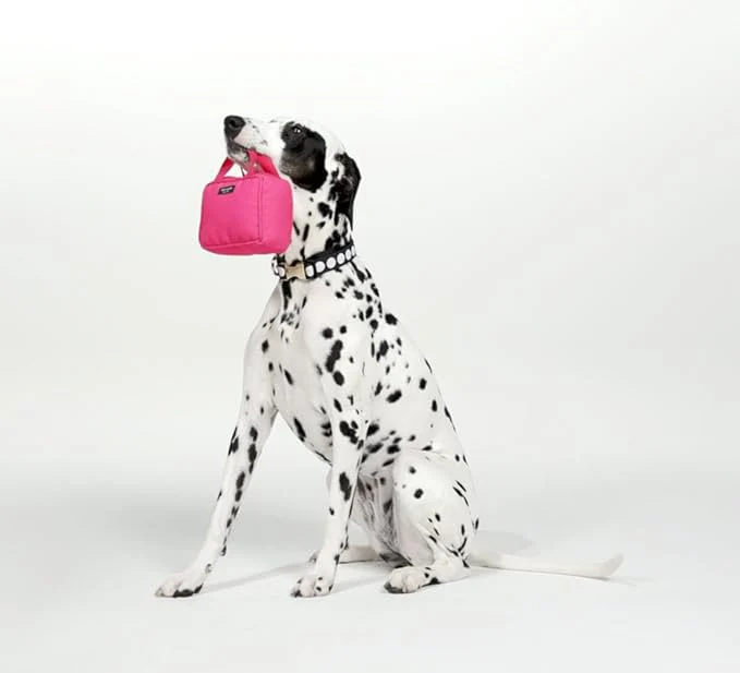 Kate Spade Colorblock Handbag Chew Toy - Image 3