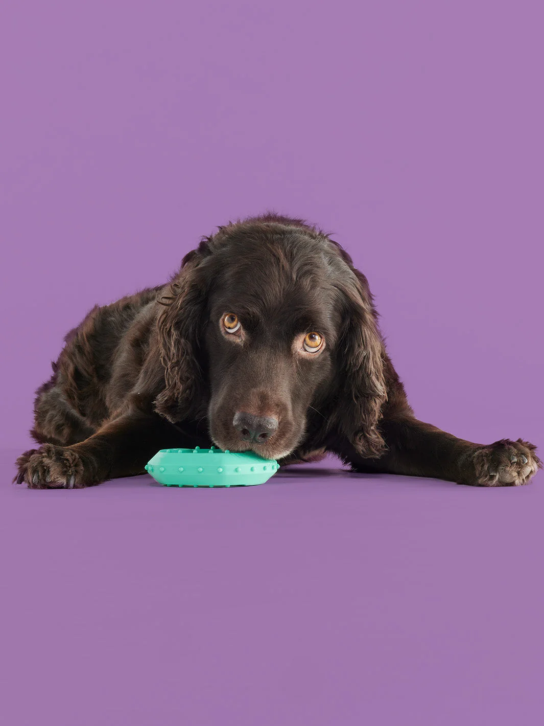 ChillChew - Image 2