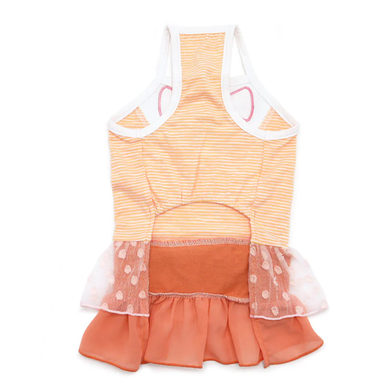Citrus Dress - Image 4
