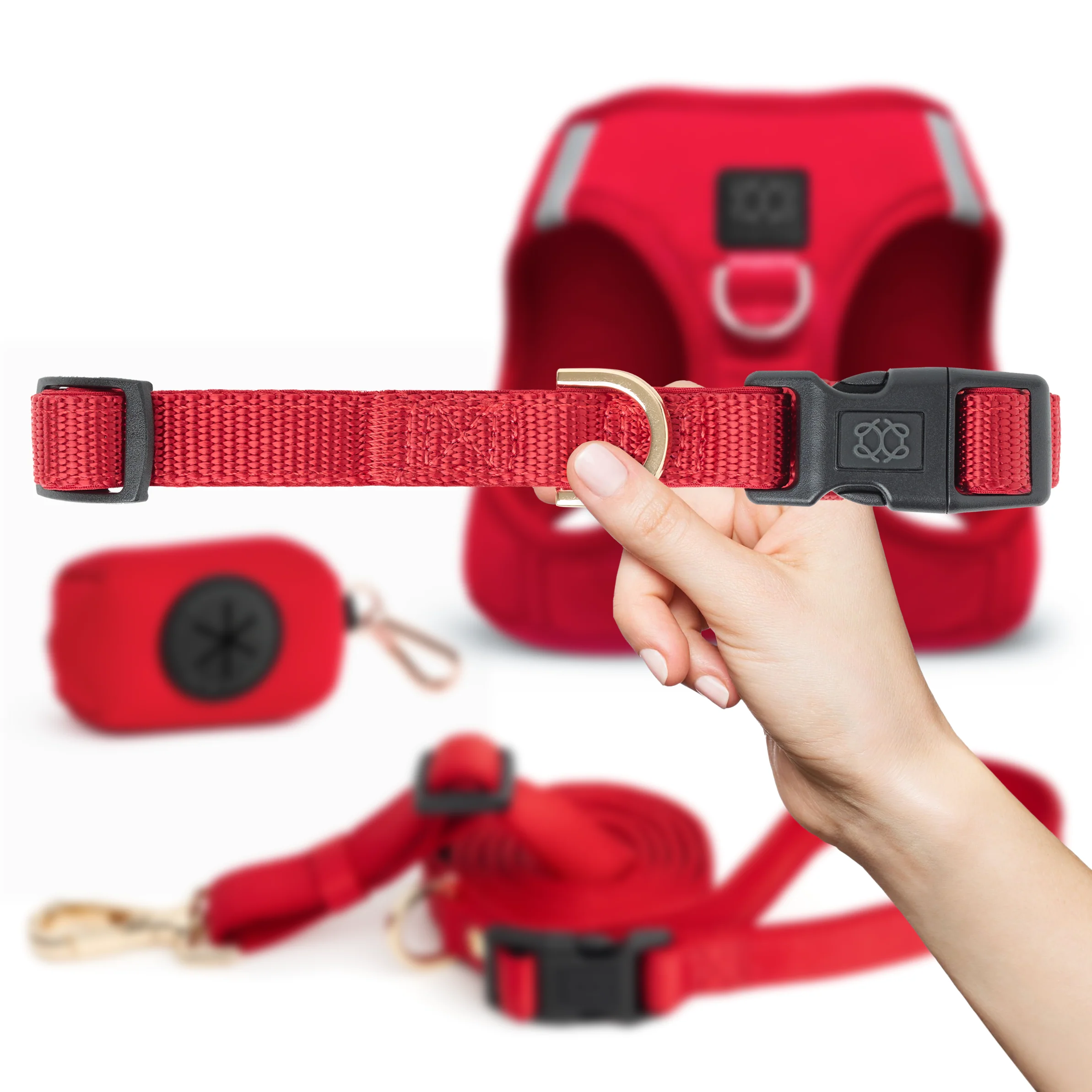 City Collar - Iconic Red - Image 4