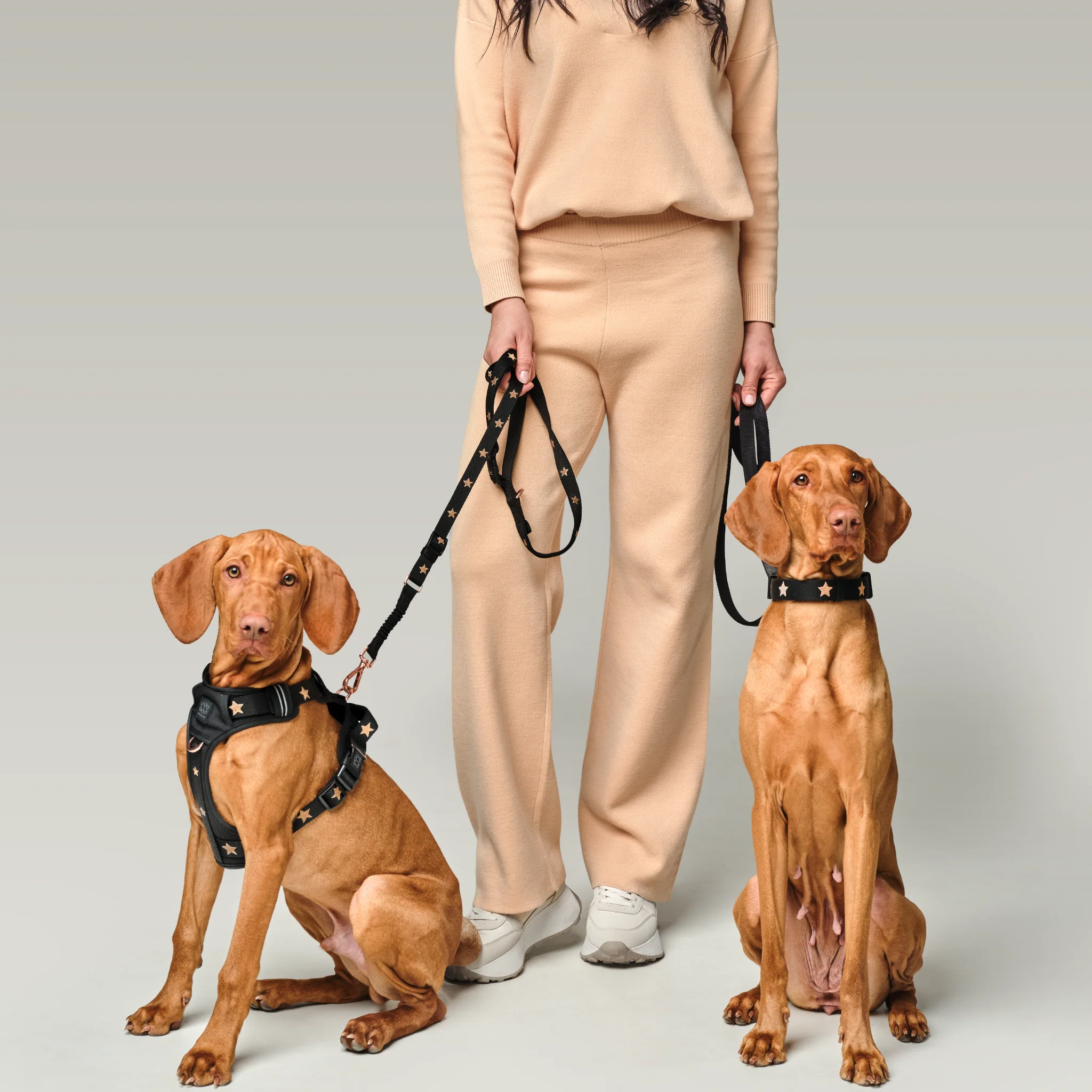 City Collar - Rockstar - Image 6