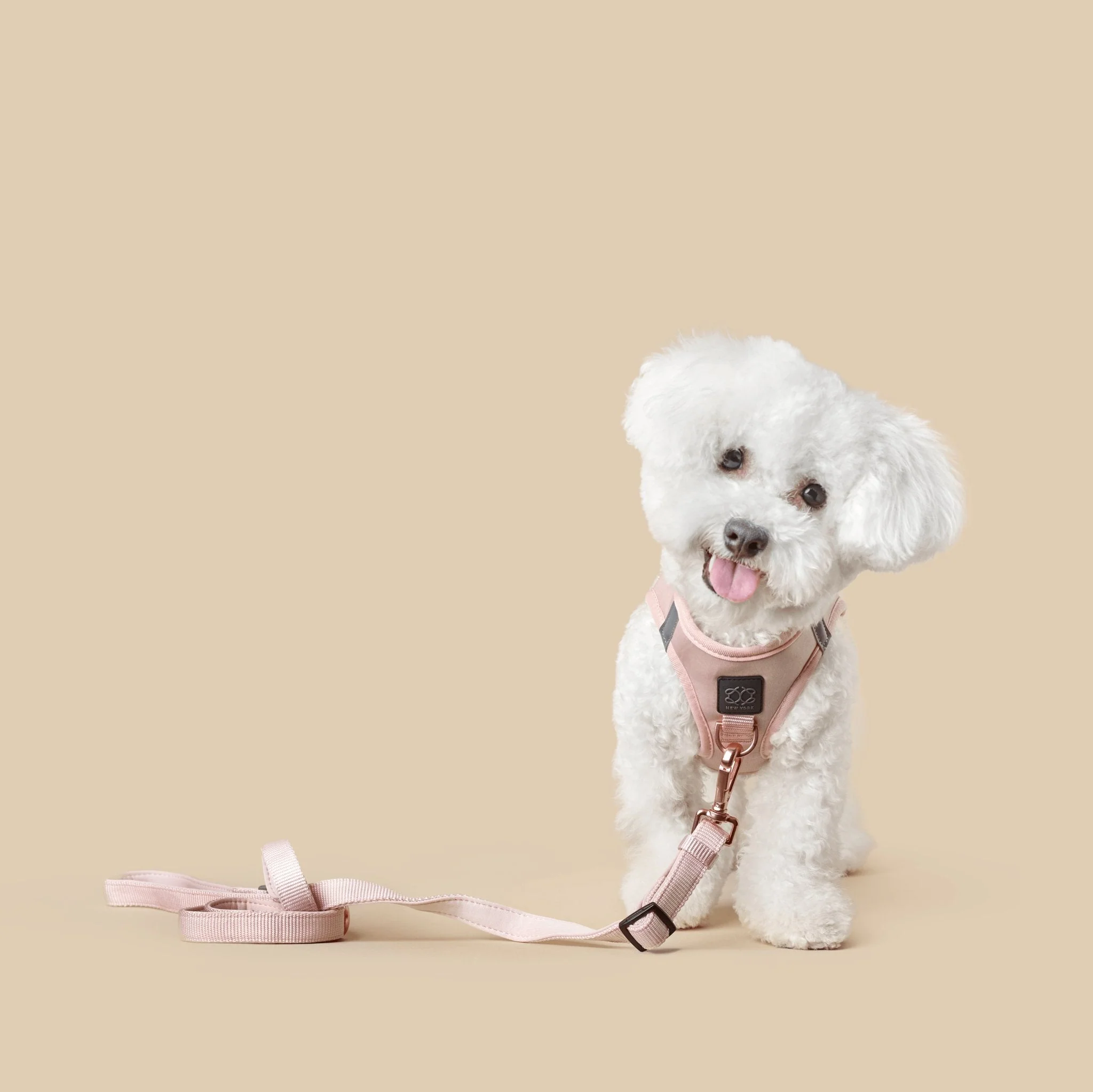 3-in-1 City Dog Leash - Blush - Image 2