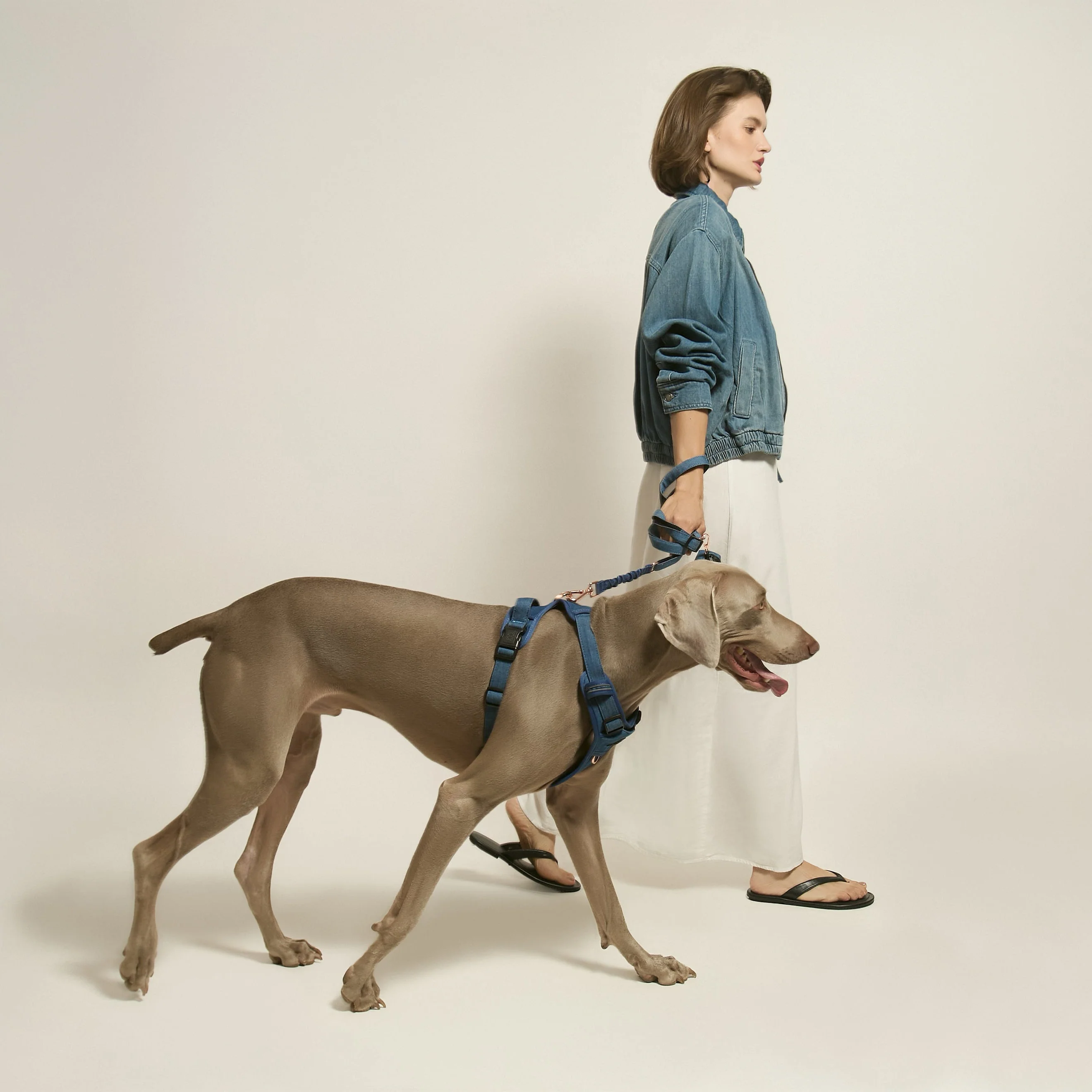 3-in-1 City Dog Leash - Denim - Image 4