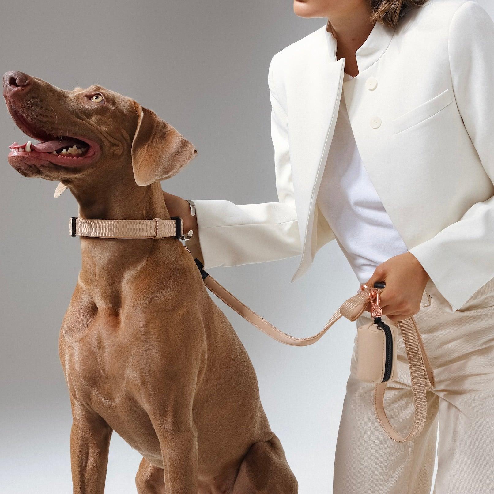 3-in-1 City Dog Leash - Dune - Image 3
