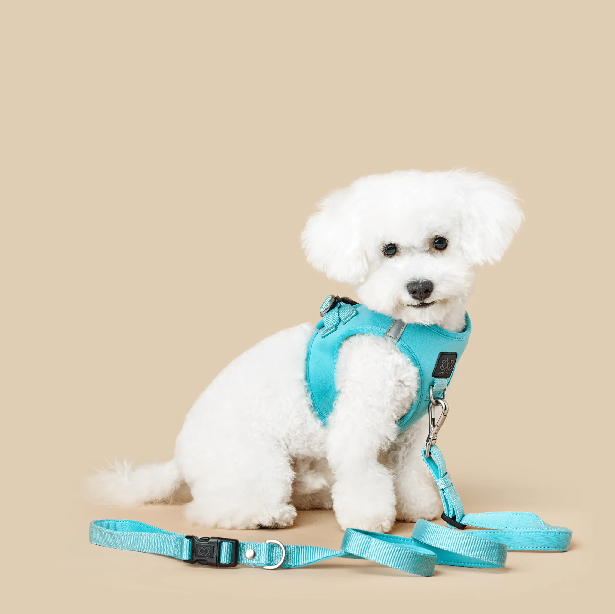 3-in-1 City Dog Leash - Fifth Avenue - Image 3
