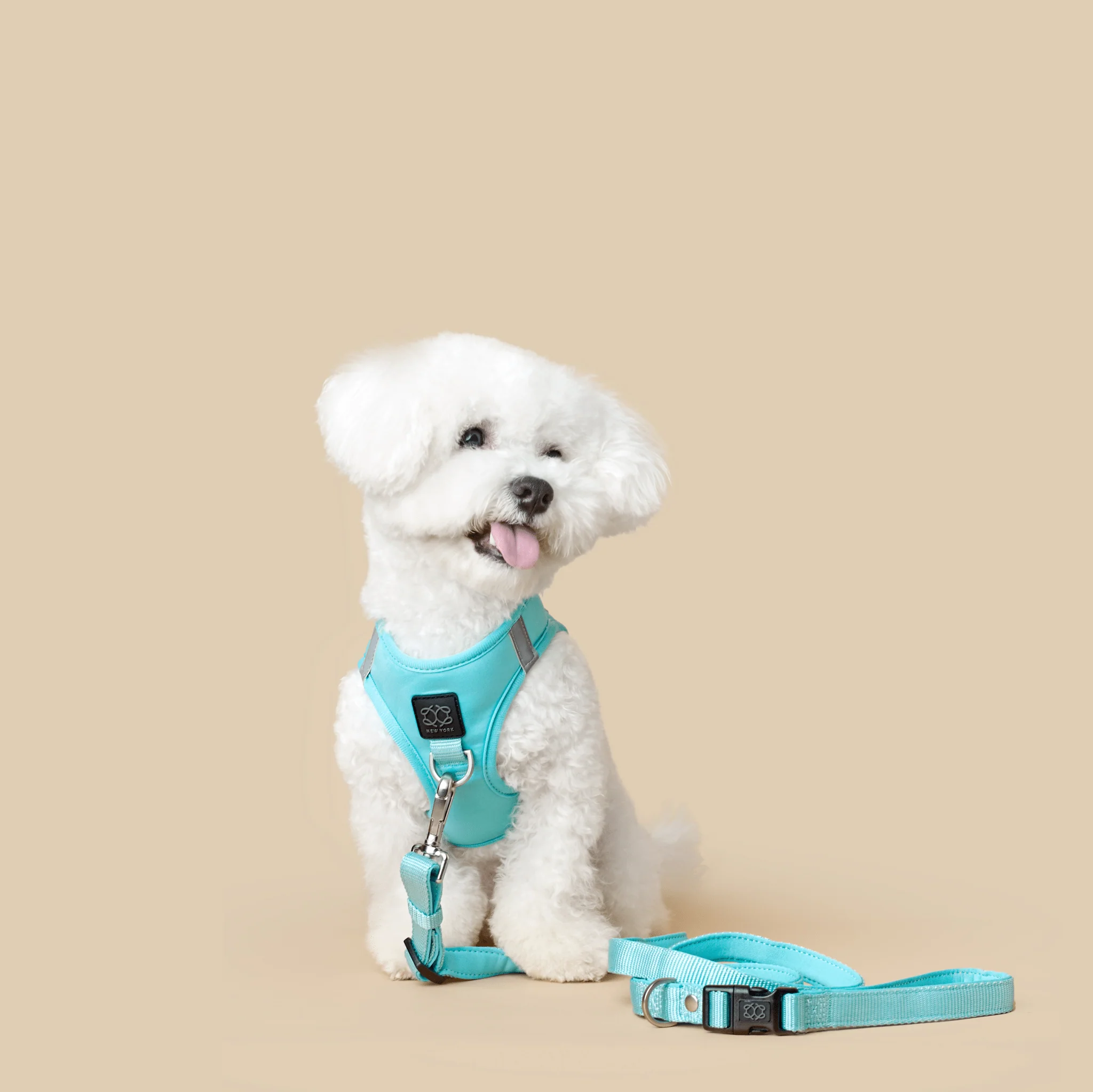 3-in-1 City Dog Leash - Fifth Avenue - Image 4