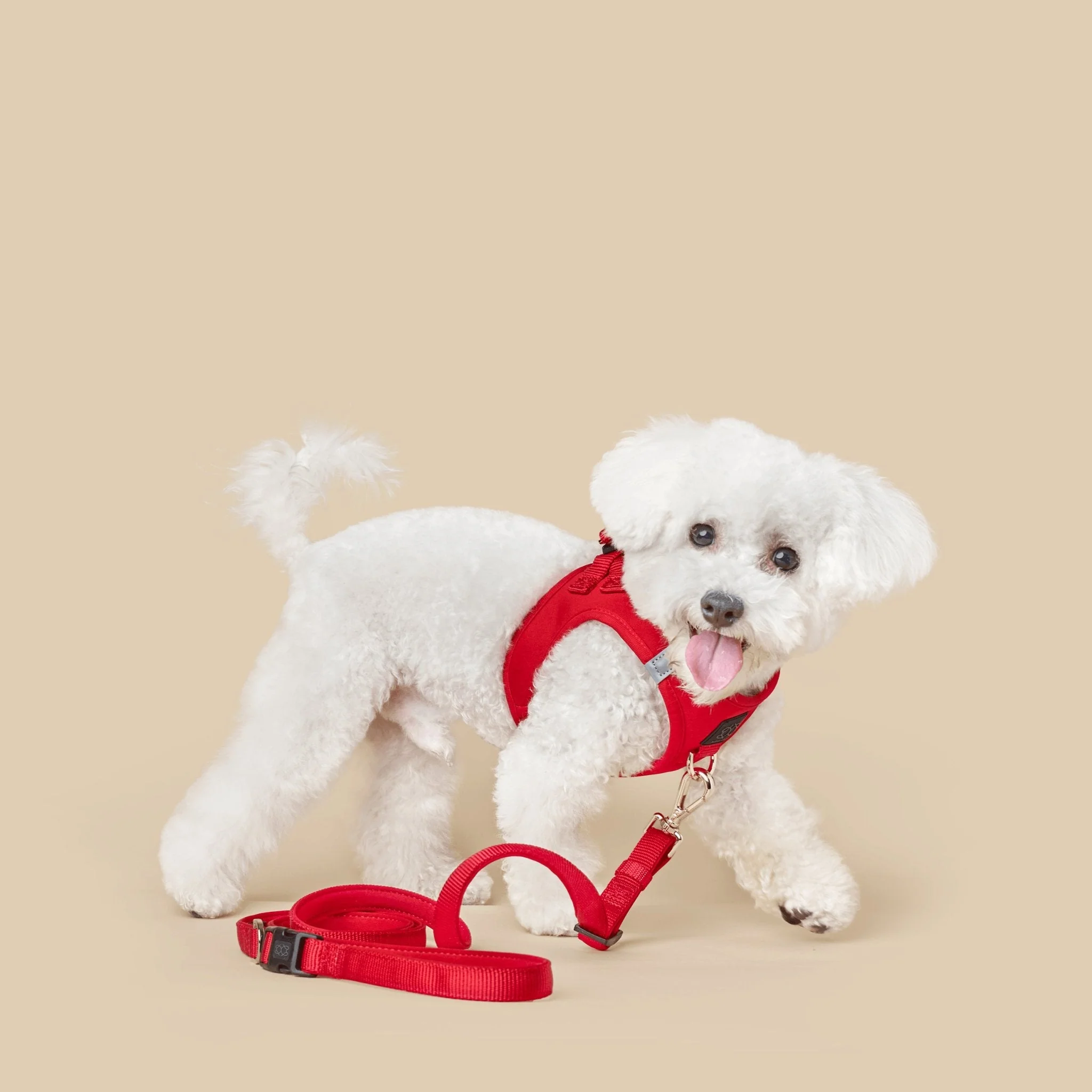 3-in-1 City Dog Leash - Iconic Red - Image 2
