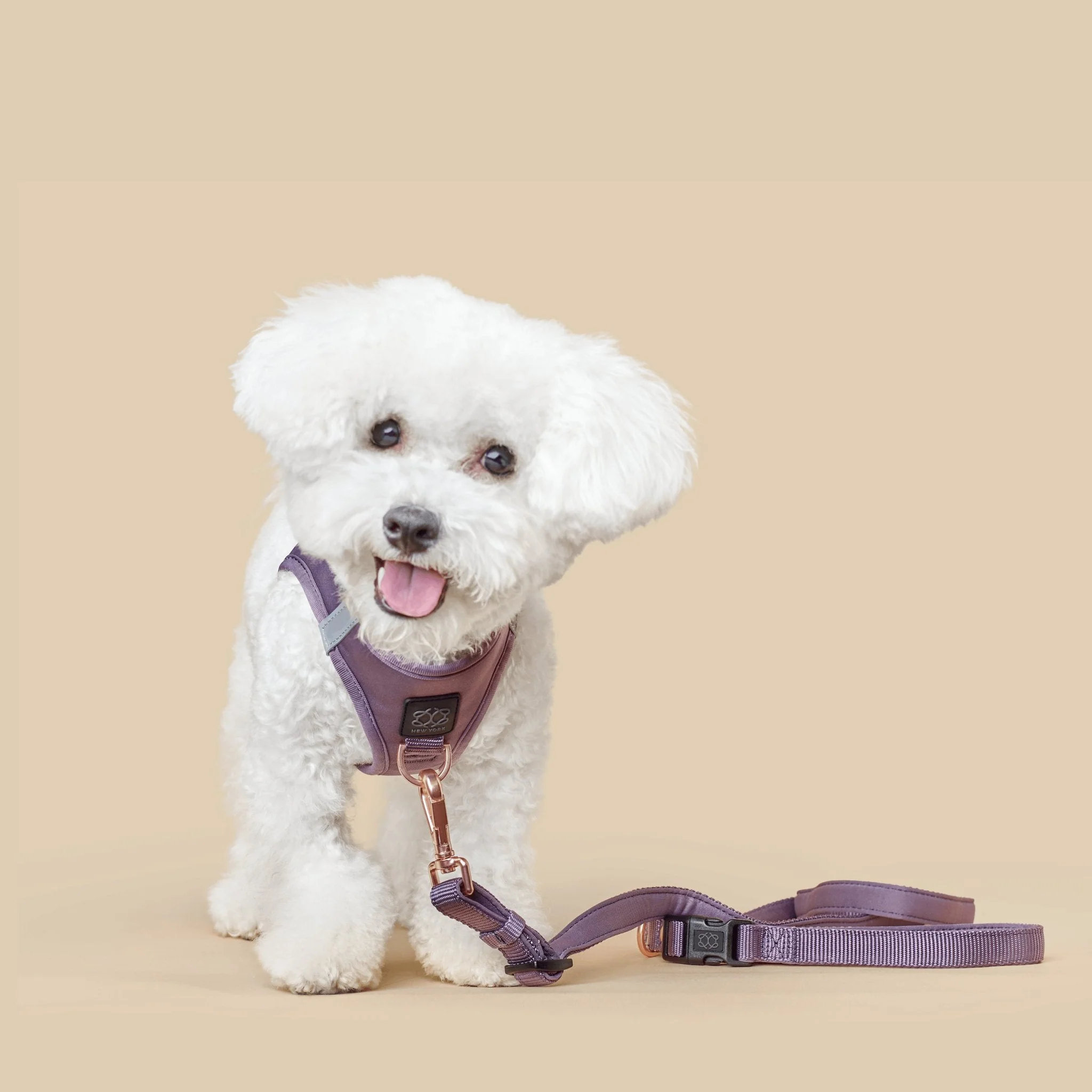 3-in-1 City Dog Leash - Lilac Gray - Image 2