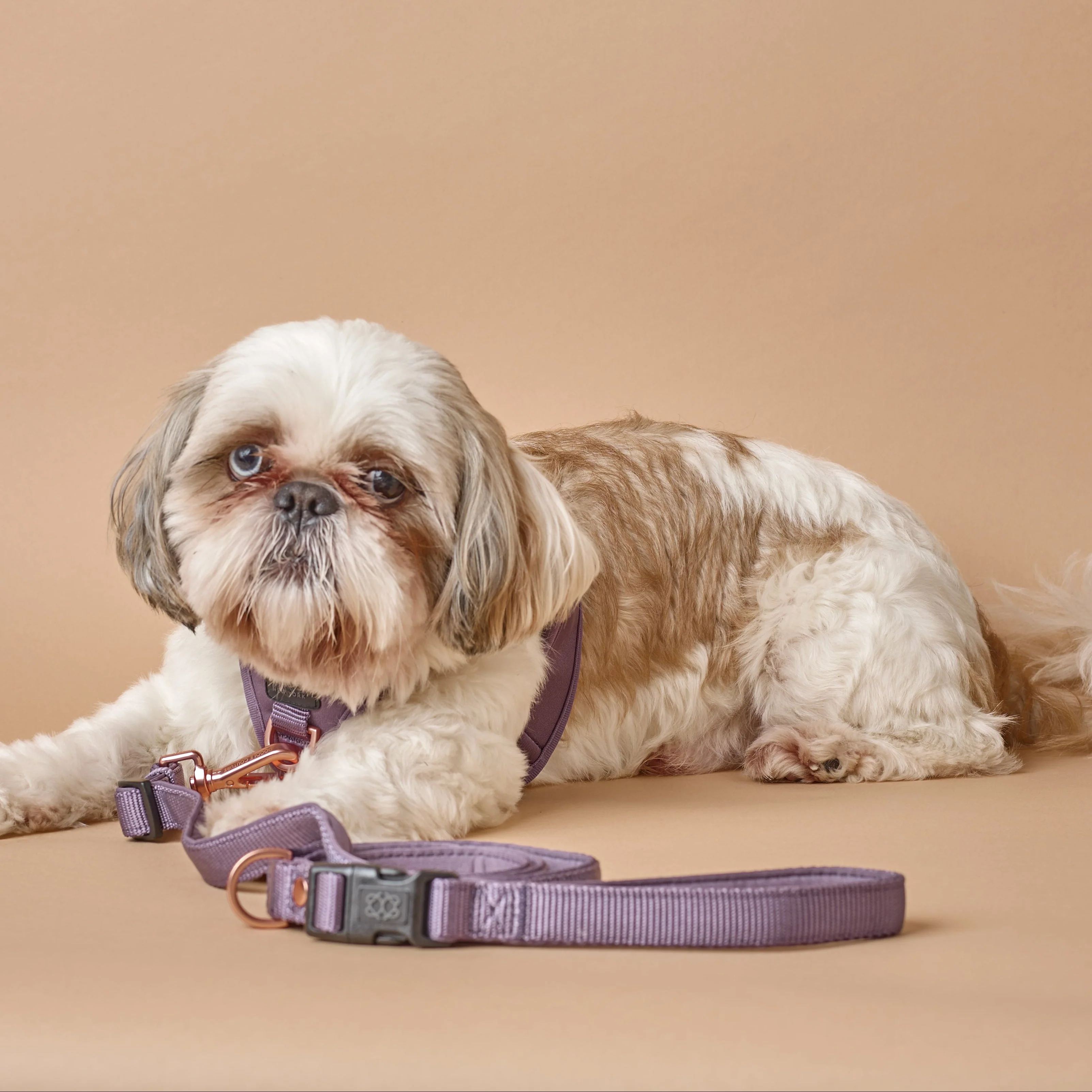 3-in-1 City Dog Leash - Lilac Gray - Image 3