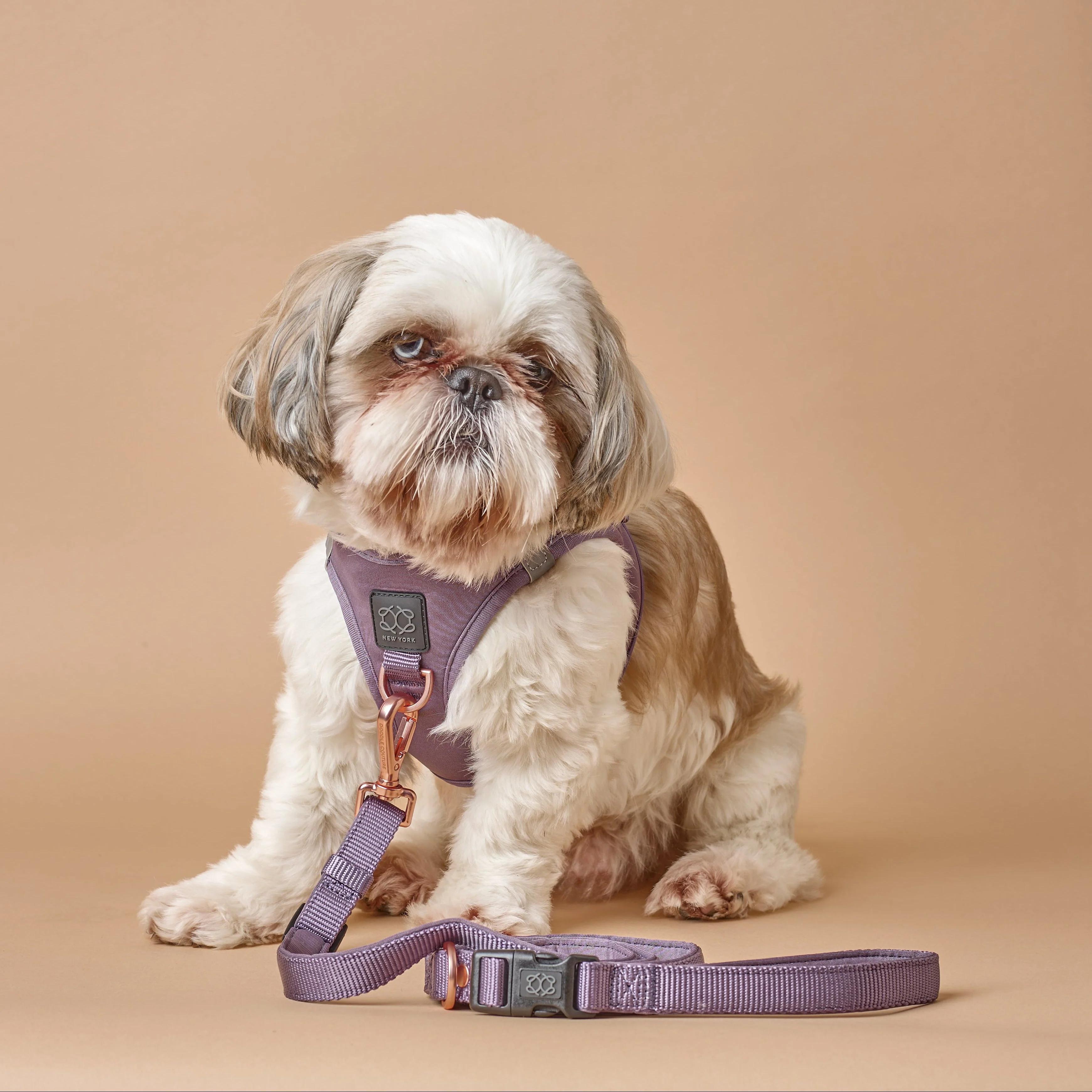 3-in-1 City Dog Leash - Lilac Gray - Image 4