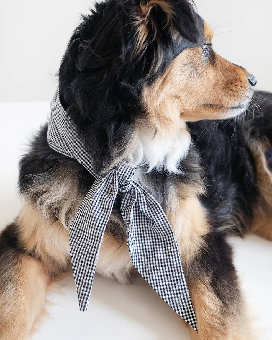 CLASSIC NECKTIE - Image 12