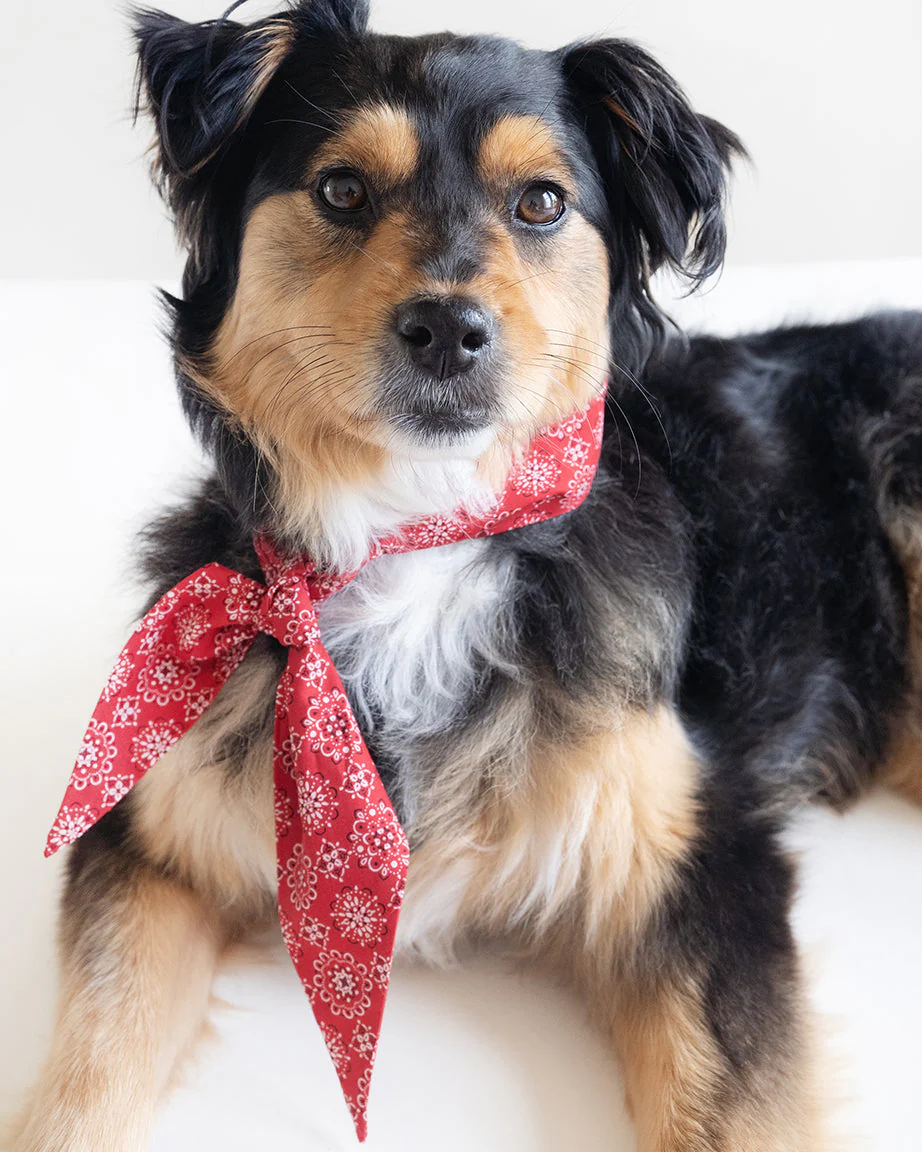 CLASSIC NECKTIE - Image 17