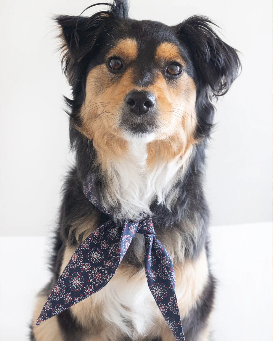 CLASSIC NECKTIE - Image 19