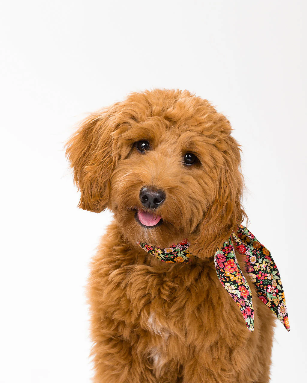 CLASSIC NECKTIE - Image 2