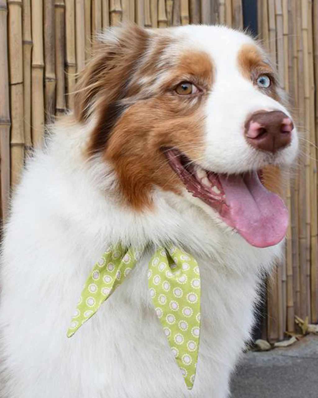 CLASSIC NECKTIE - Image 27