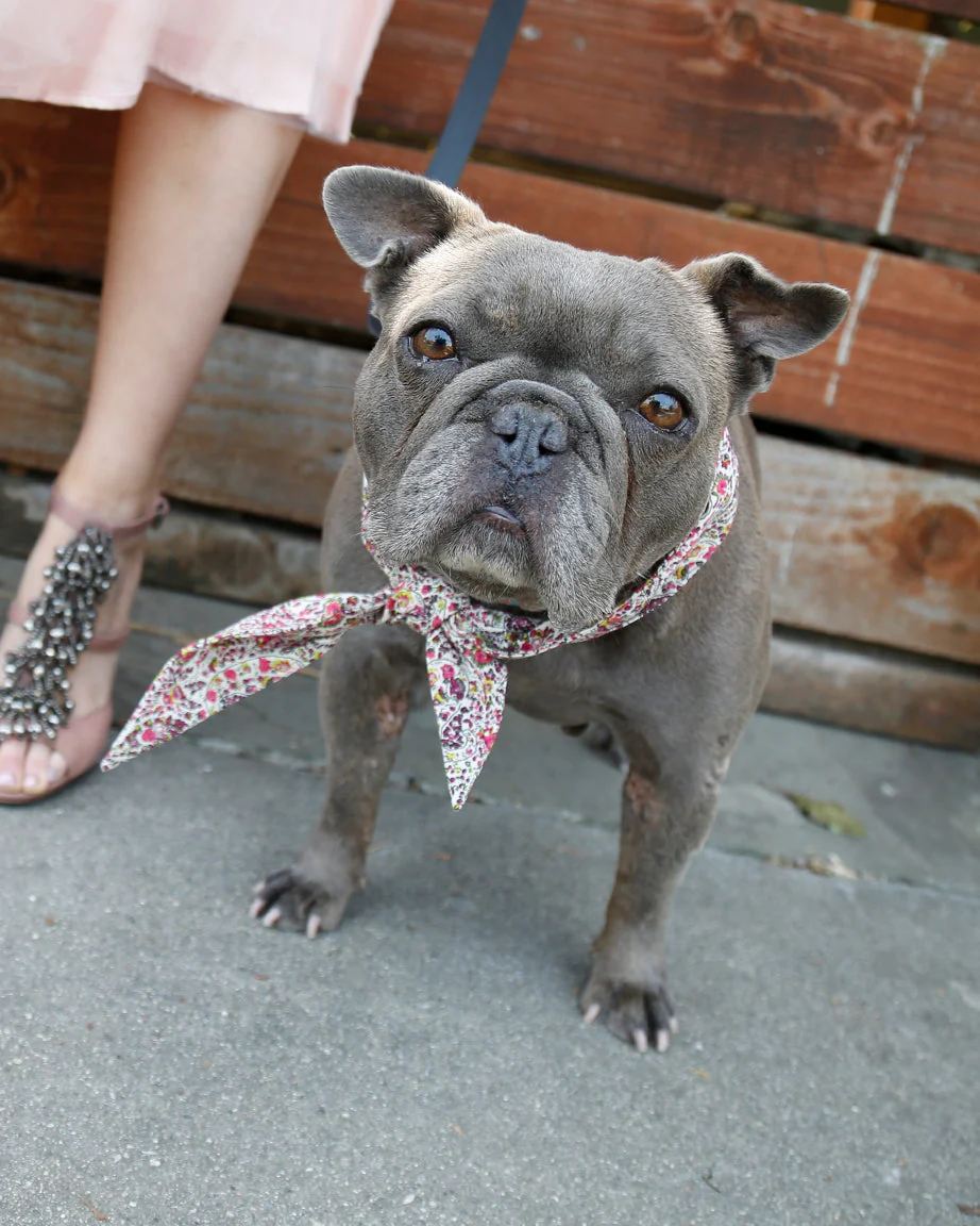 CLASSIC NECKTIE - Image 29