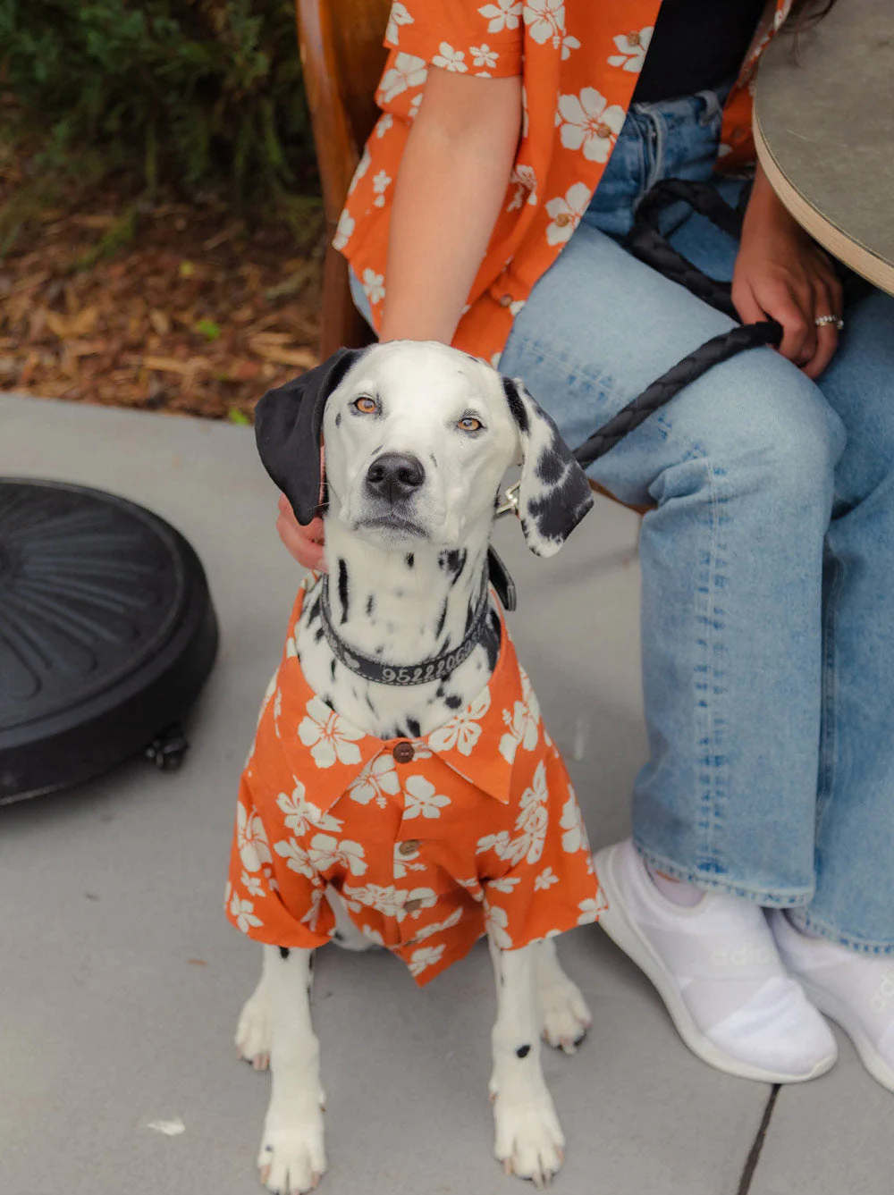 Clay Hibiscus BBQ Shirt - Image 2