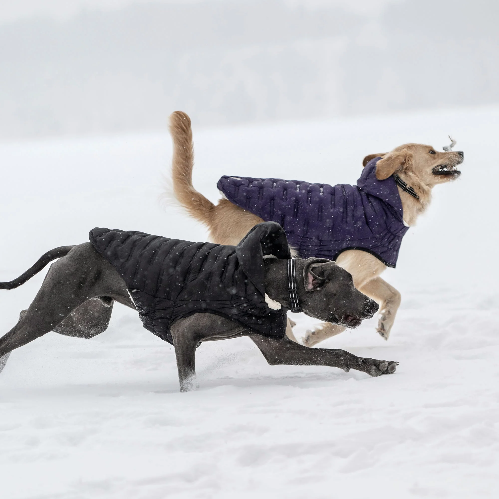 Cloud Parka - Image 17