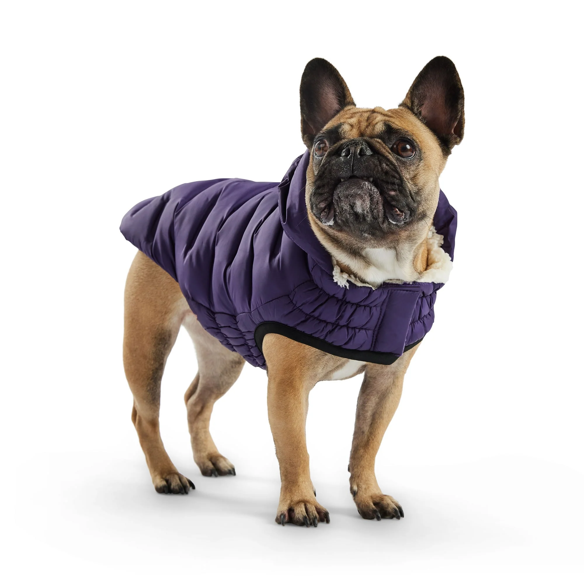 Cloud Parka - Image 4