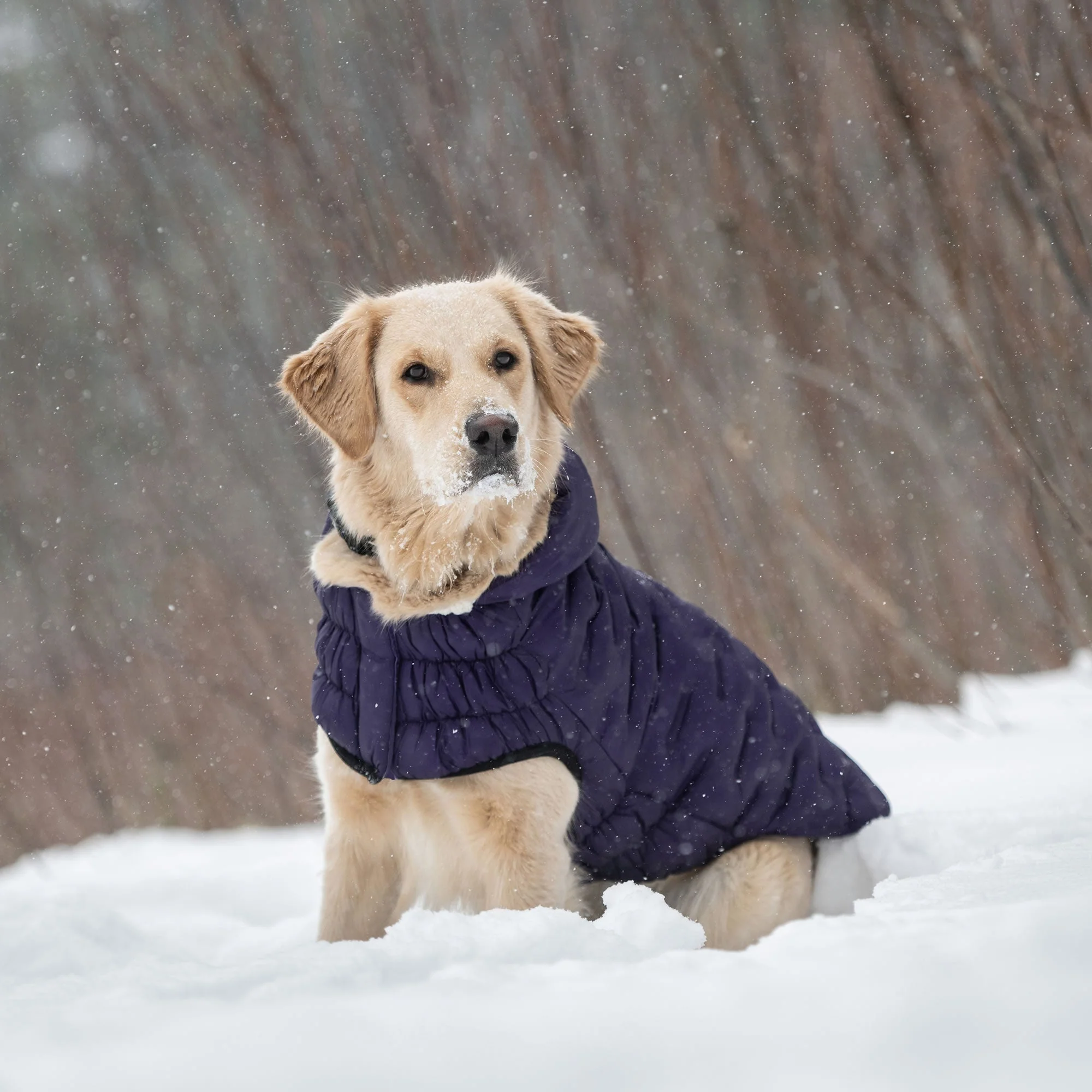 Cloud Parka - Image 8