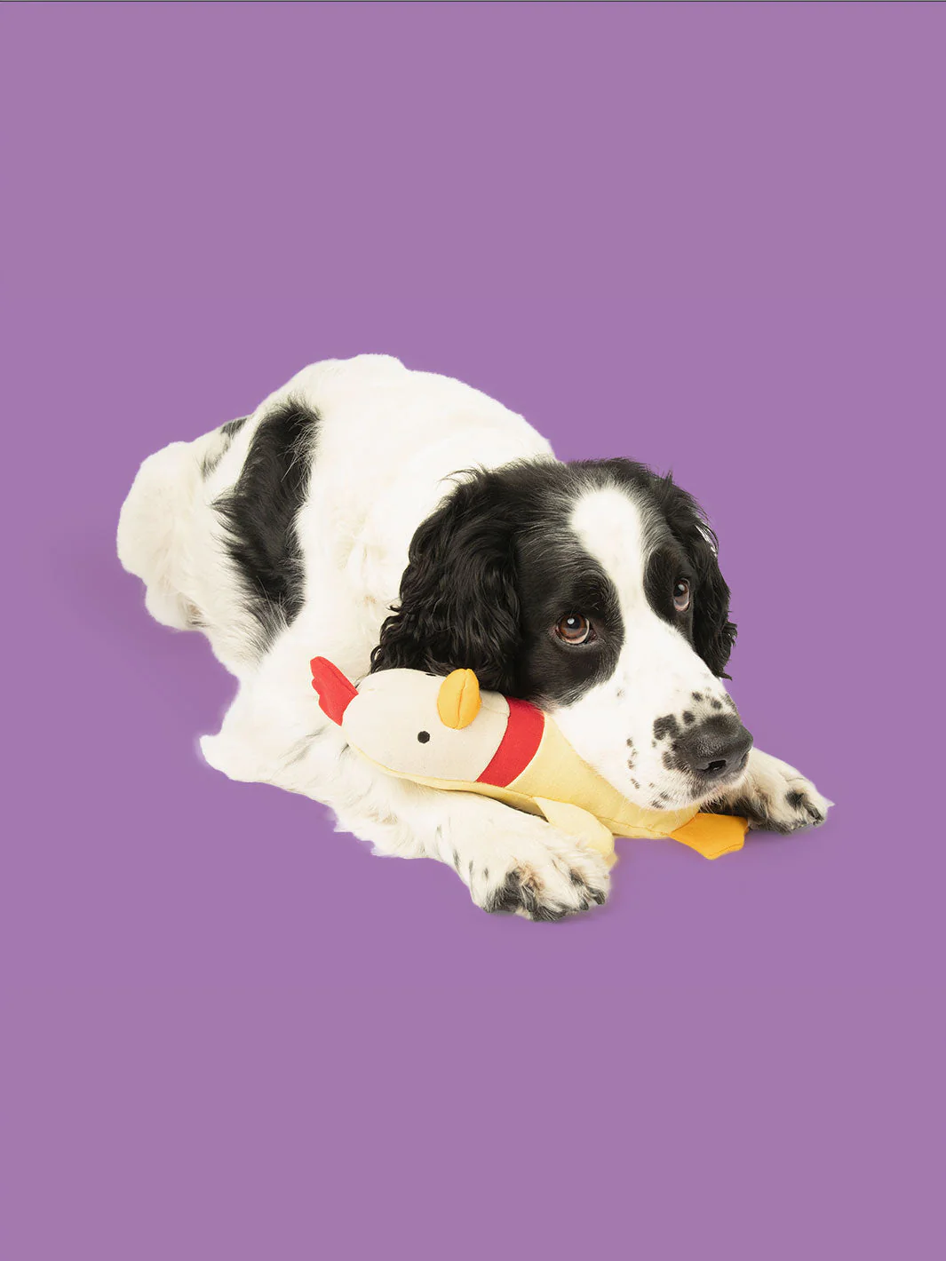 Clucky Plush - Image 3