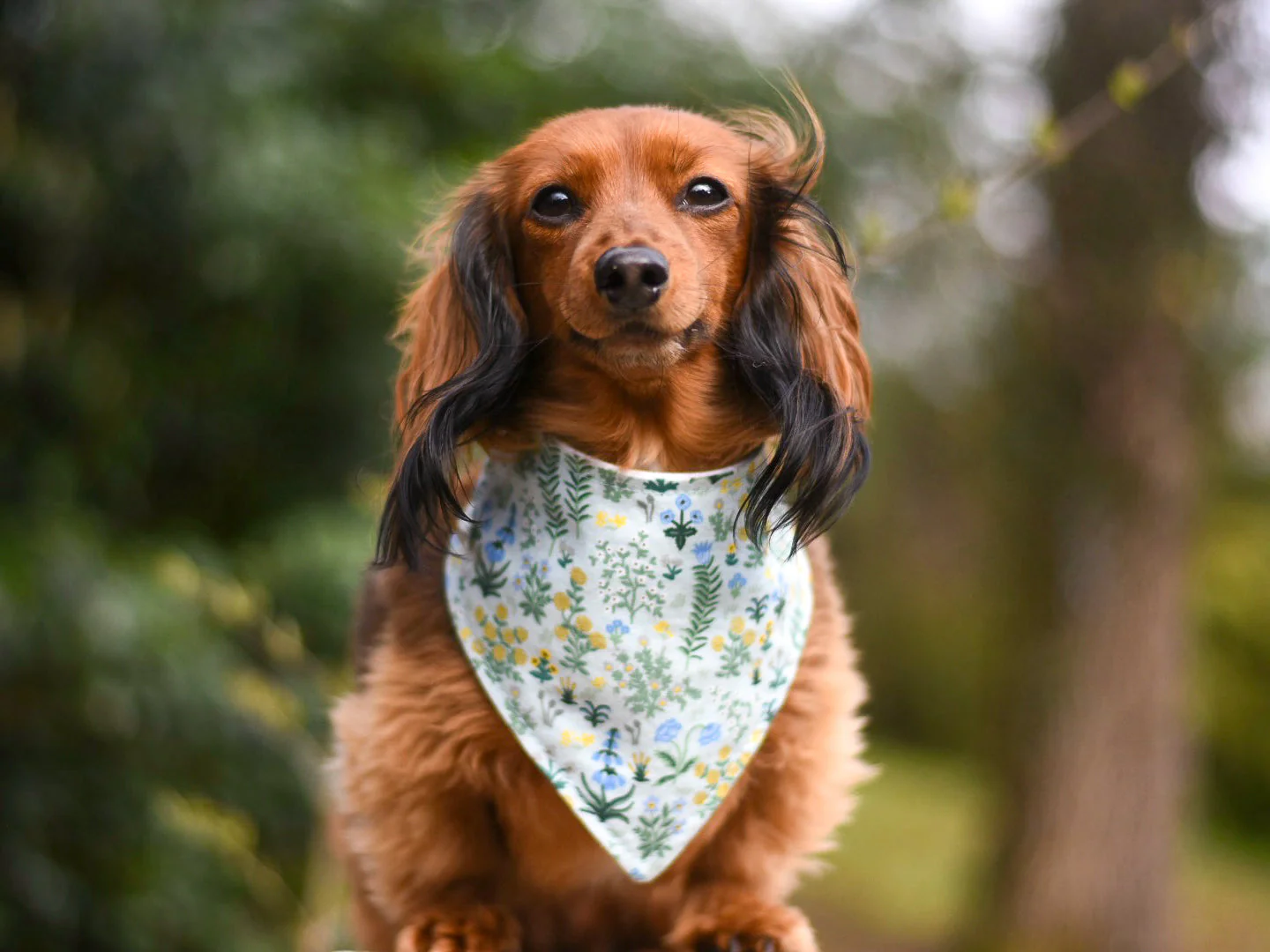 "Cocktails" Dog Bandana - Image 7