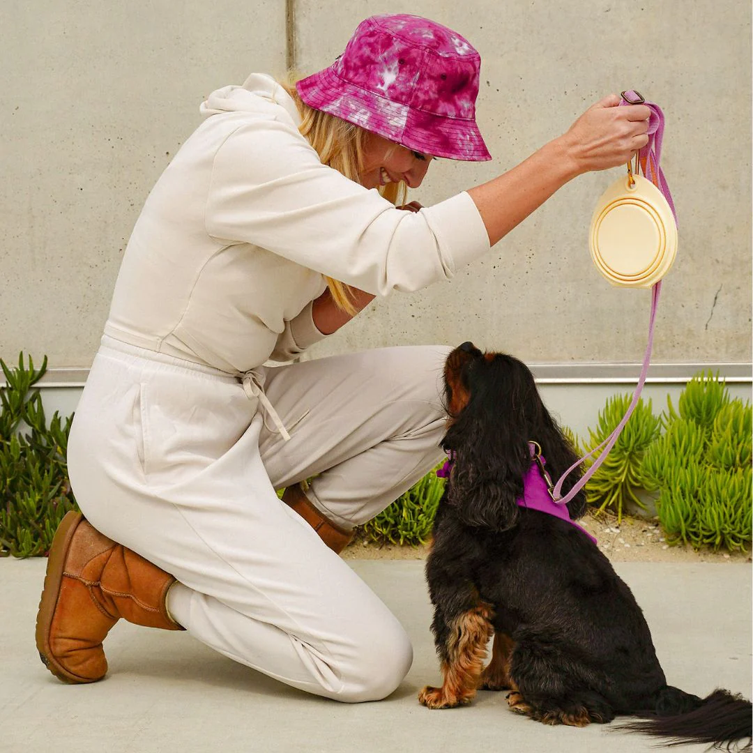 Tilley + Me Collapsible Double Pet Bowl – Lightweight & Portable for Travel - Image 2