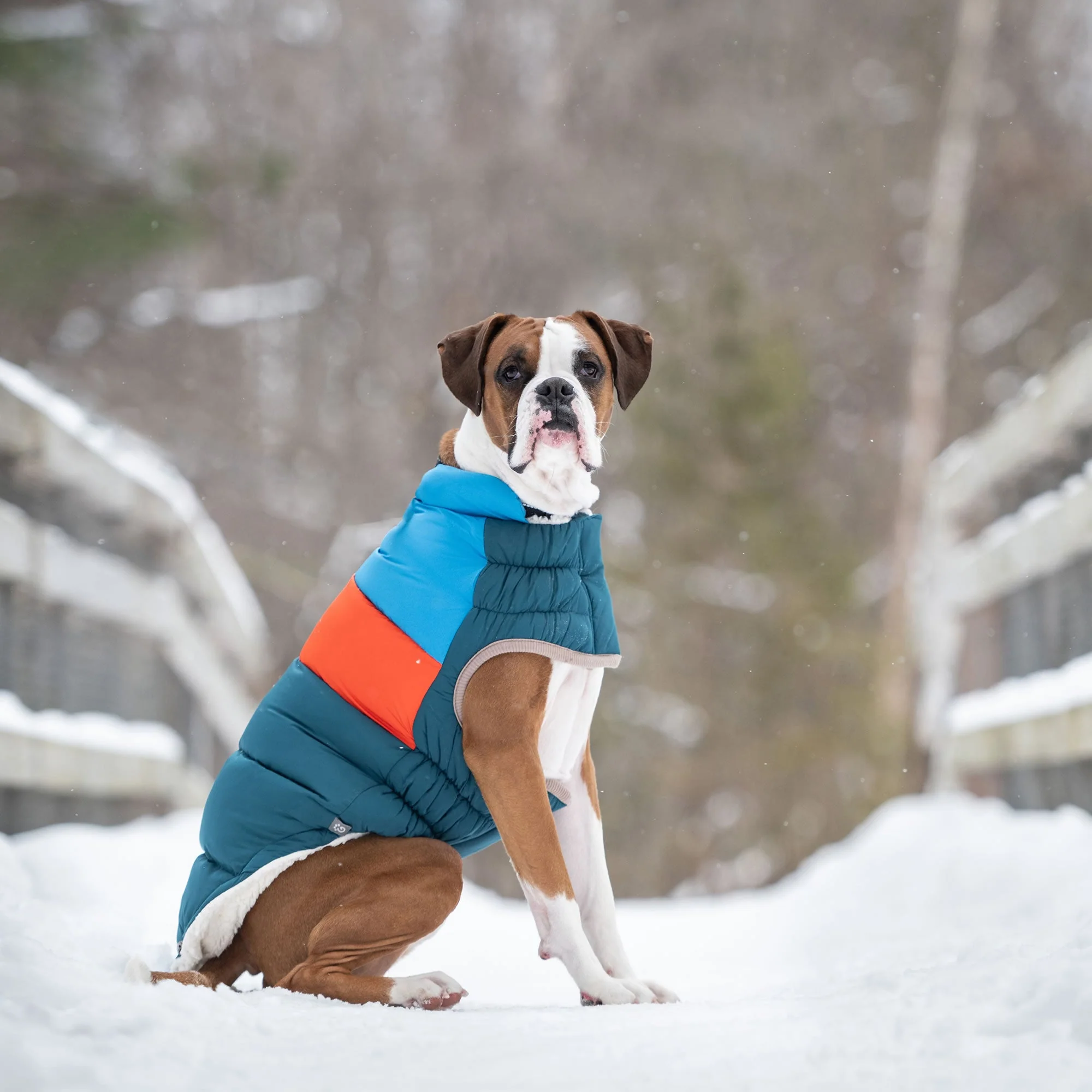 Color Block Puffer - Image 20