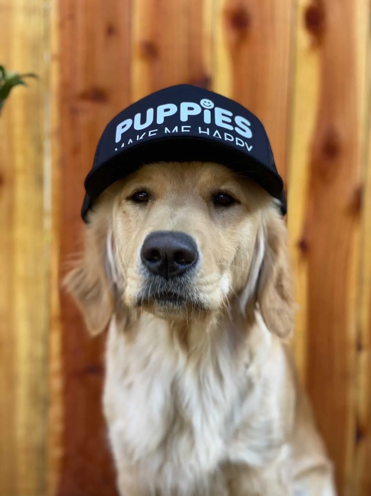 Company Cap | Anniversary Trucker - Image 2