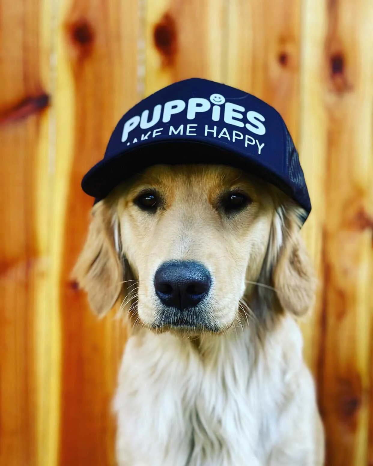 Company Cap | Anniversary Trucker - Image 5
