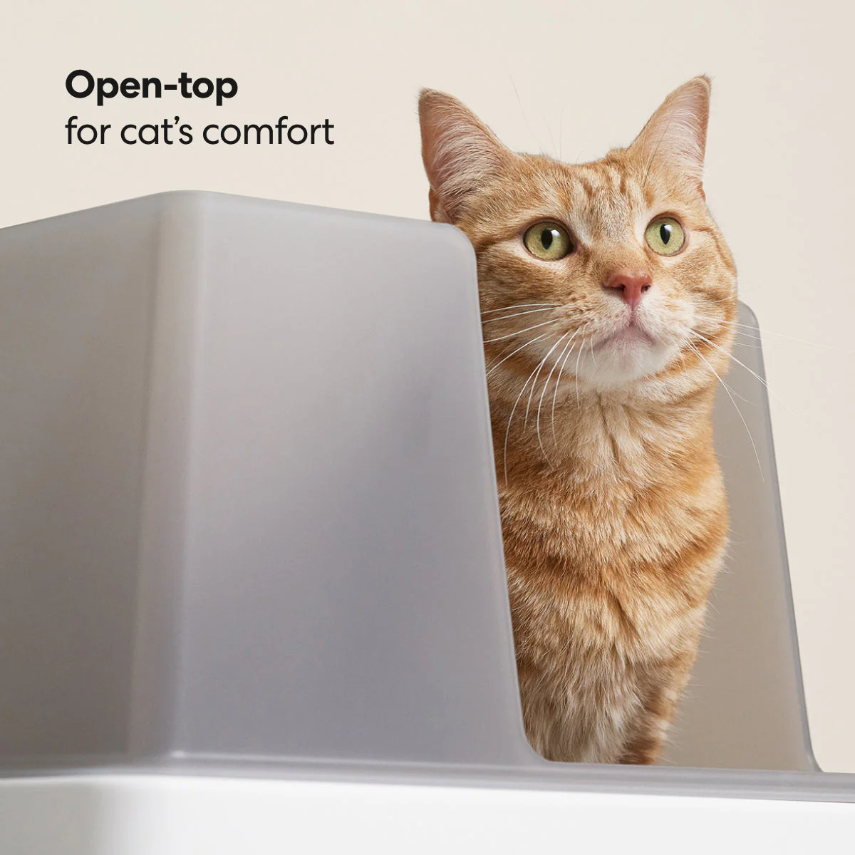 Cove Litter Box - Image 5