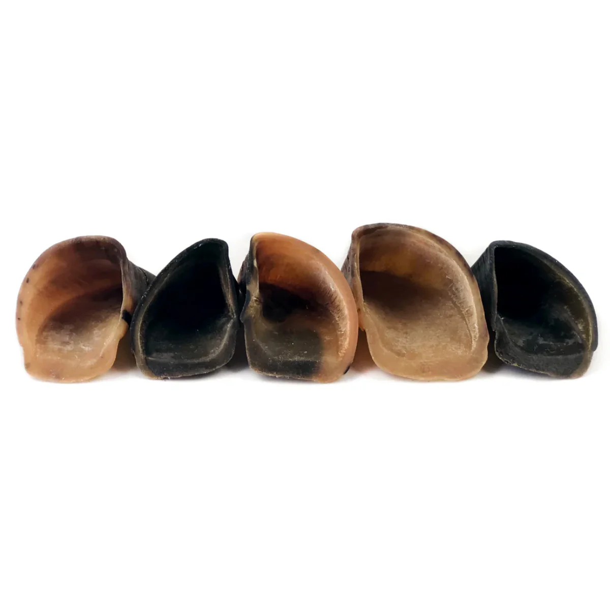 Cow Hooves - Image 3