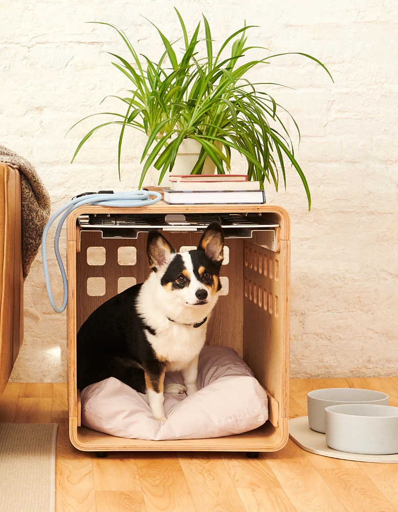 Crate - Image 22