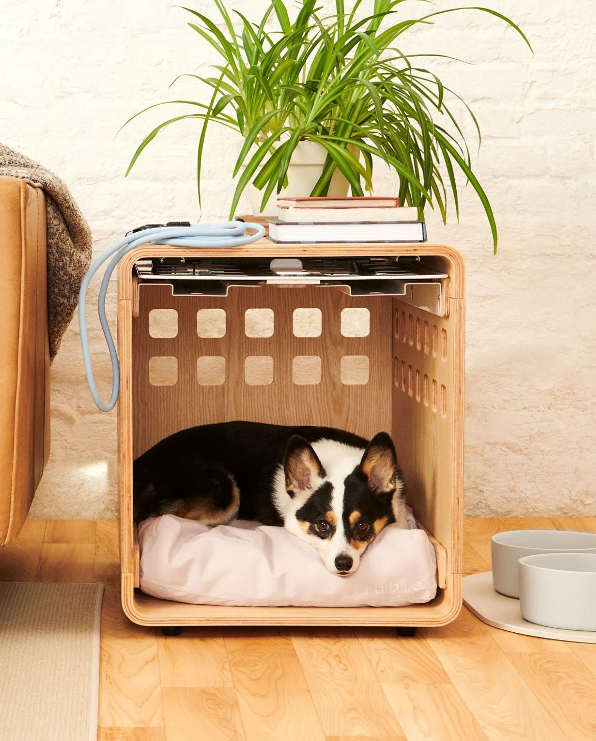 Crate - Image 23