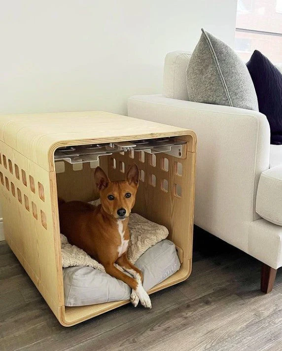 Crate - Image 24