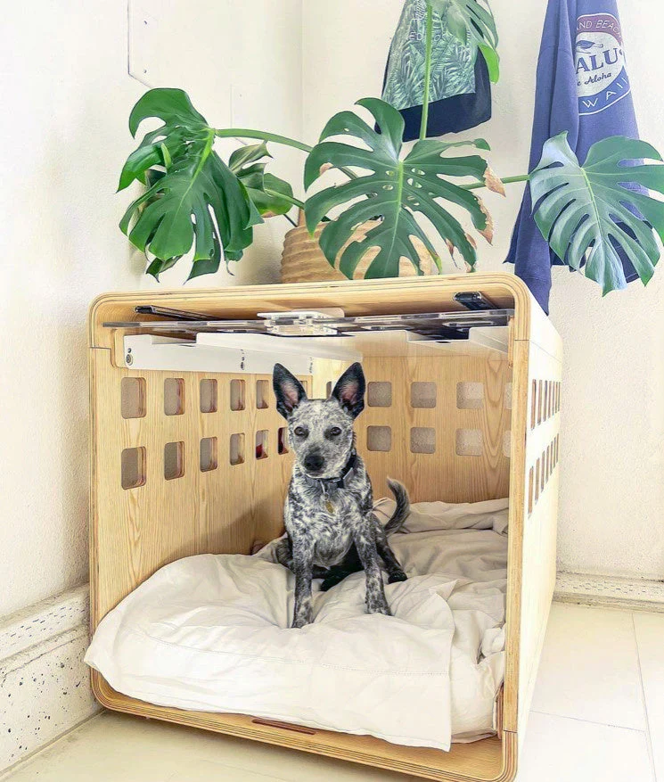 Crate - Image 28