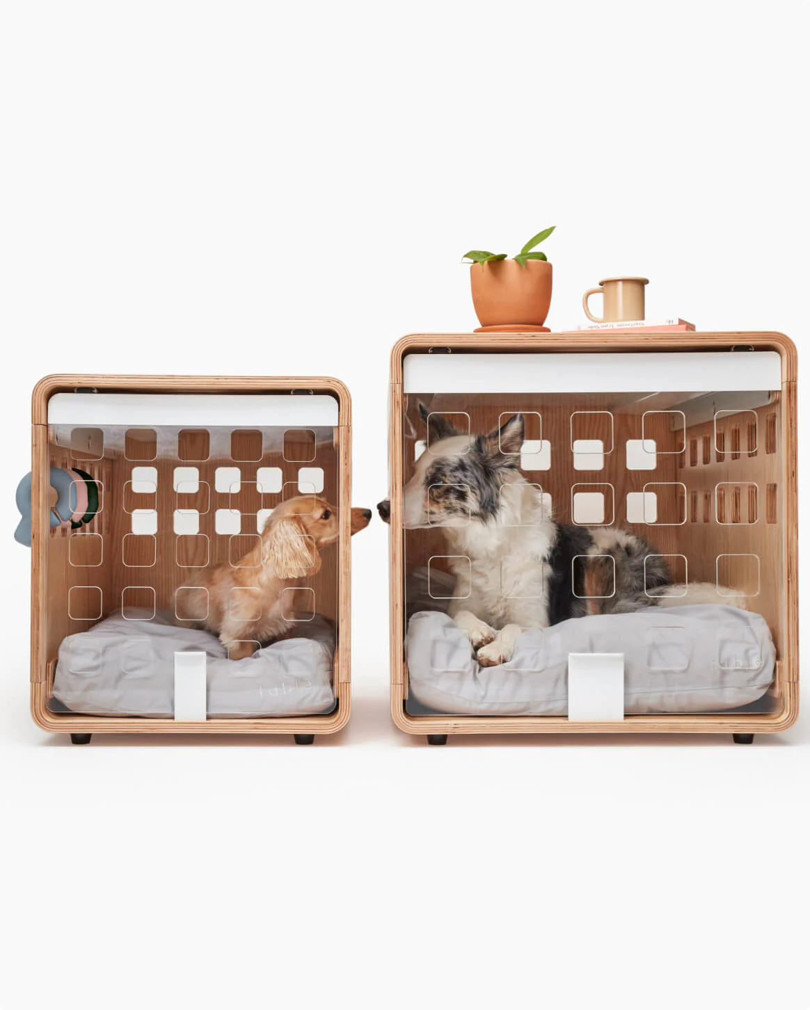 Crate - Image 32