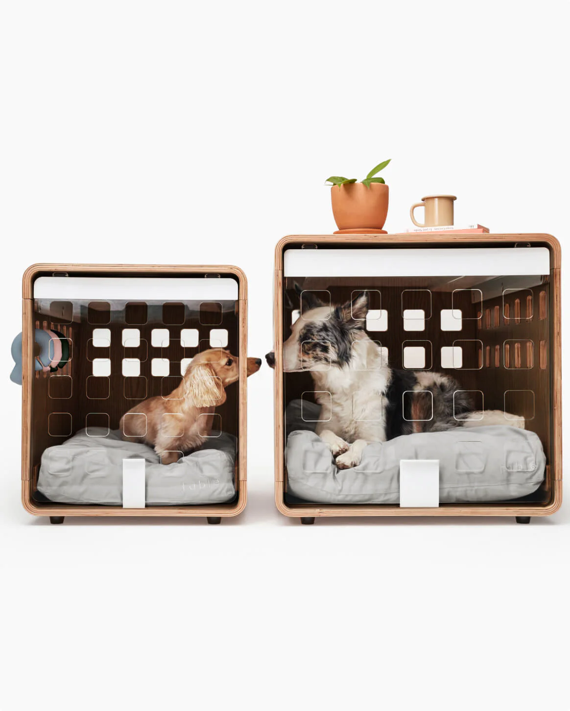 Crate - Image 36