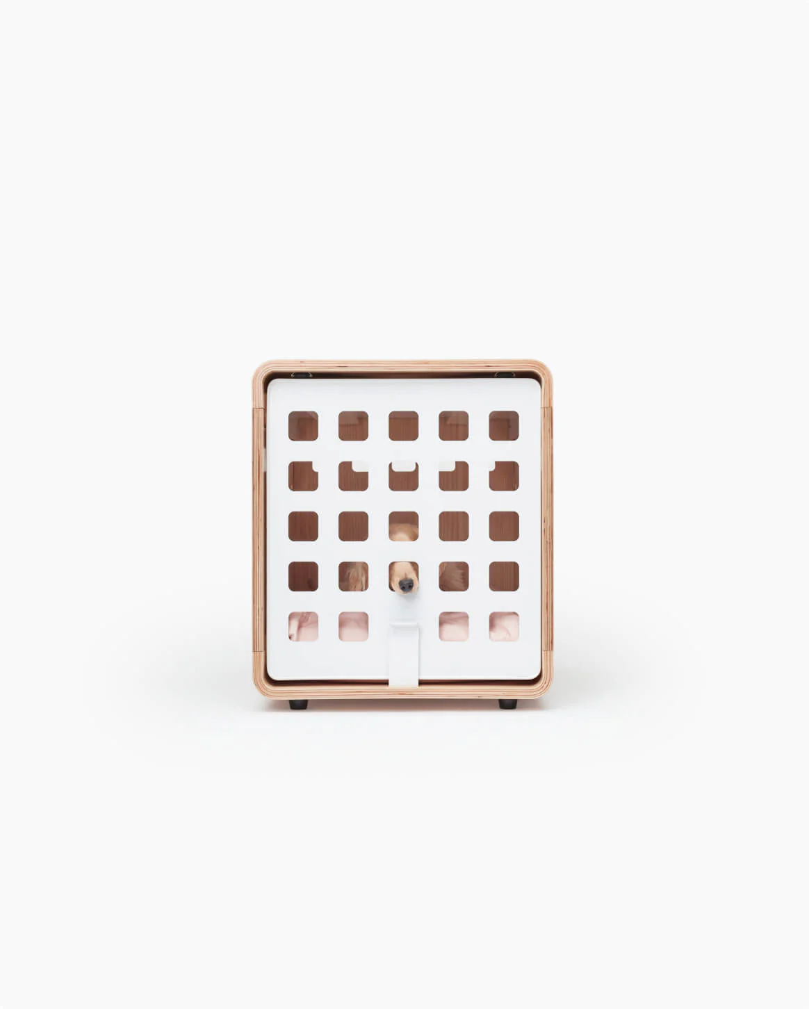 Crate - Image 6