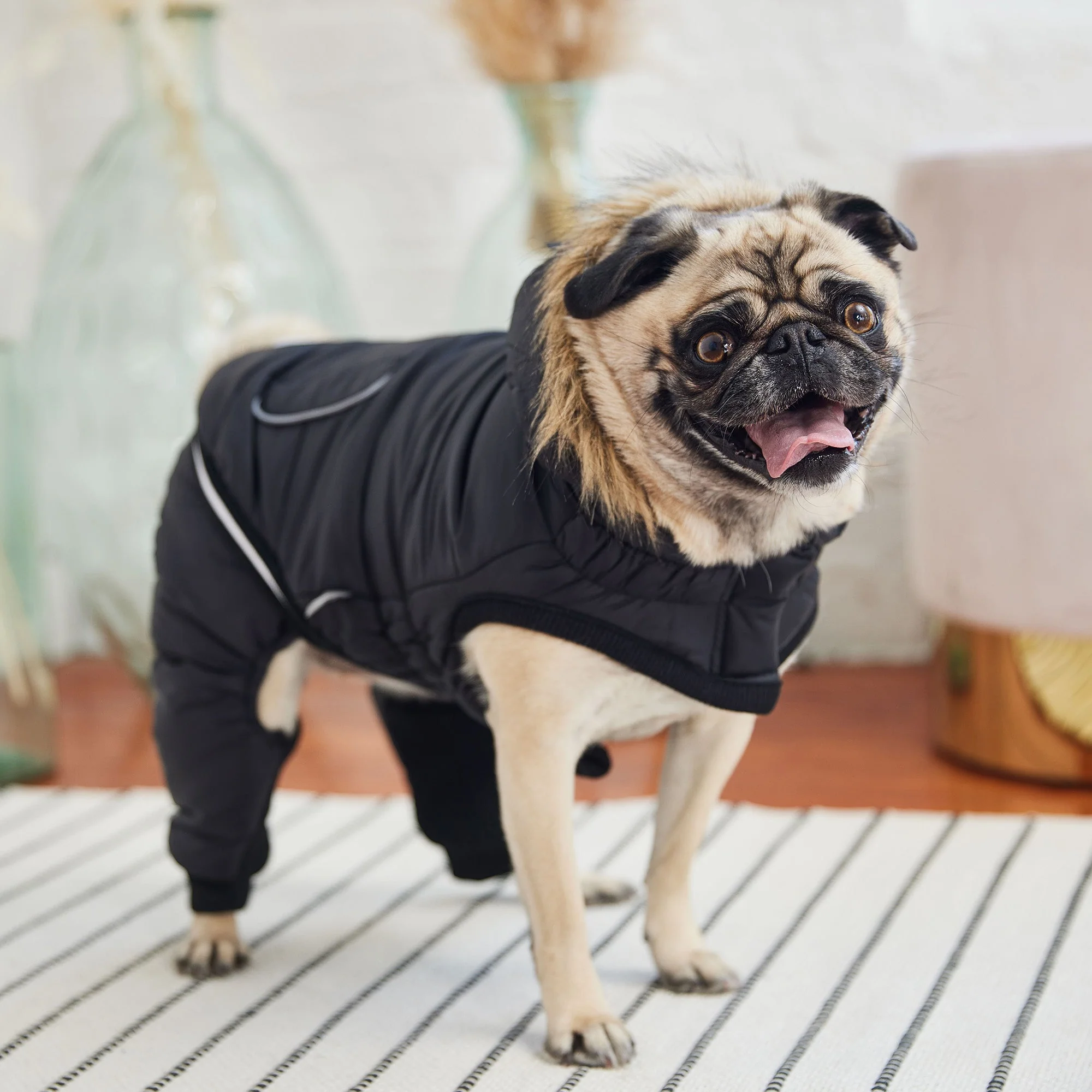 Creekside Snowsuit - Black - Image 6