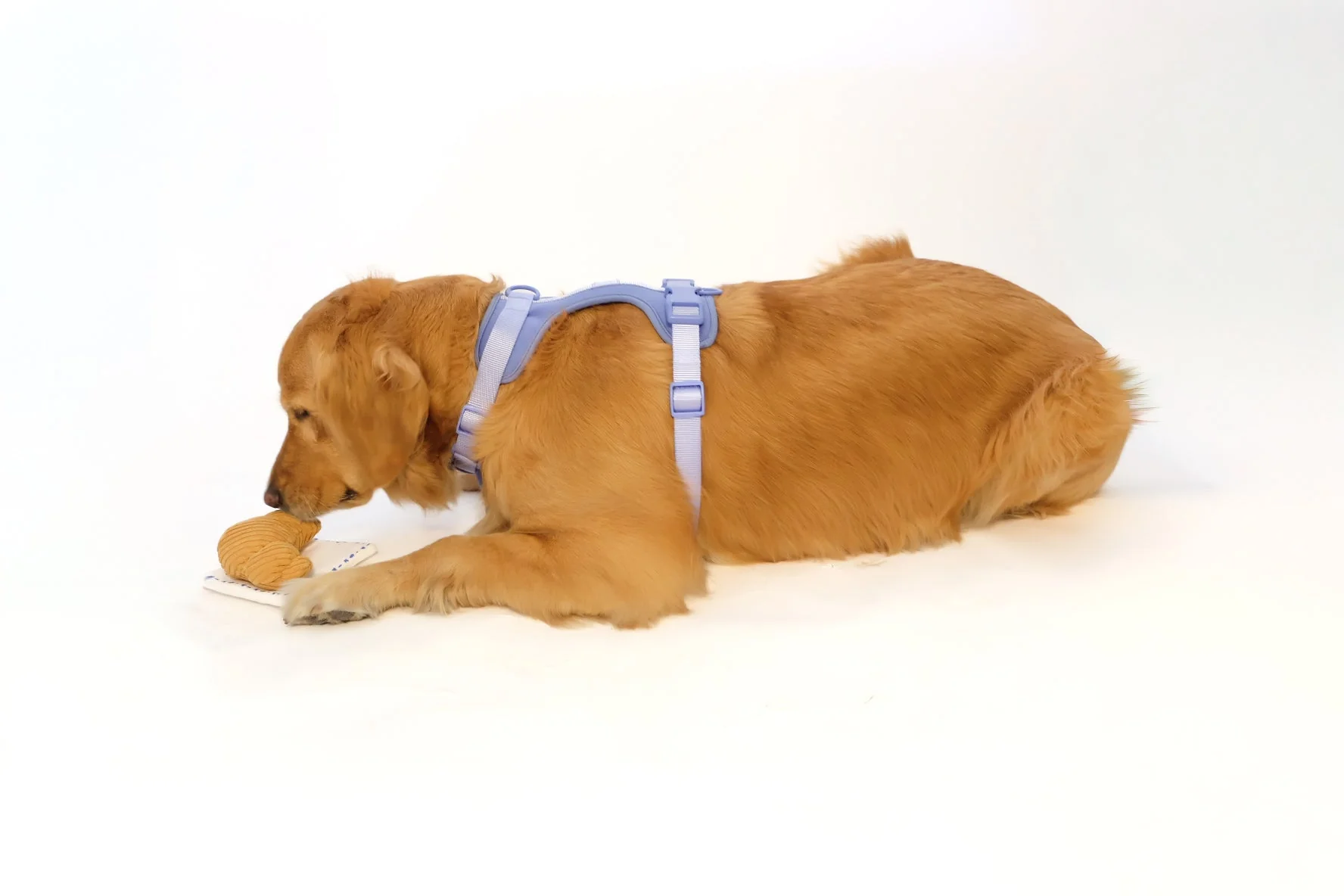 Croissant Nose Work Toy / Enrichment Toy - Image 2