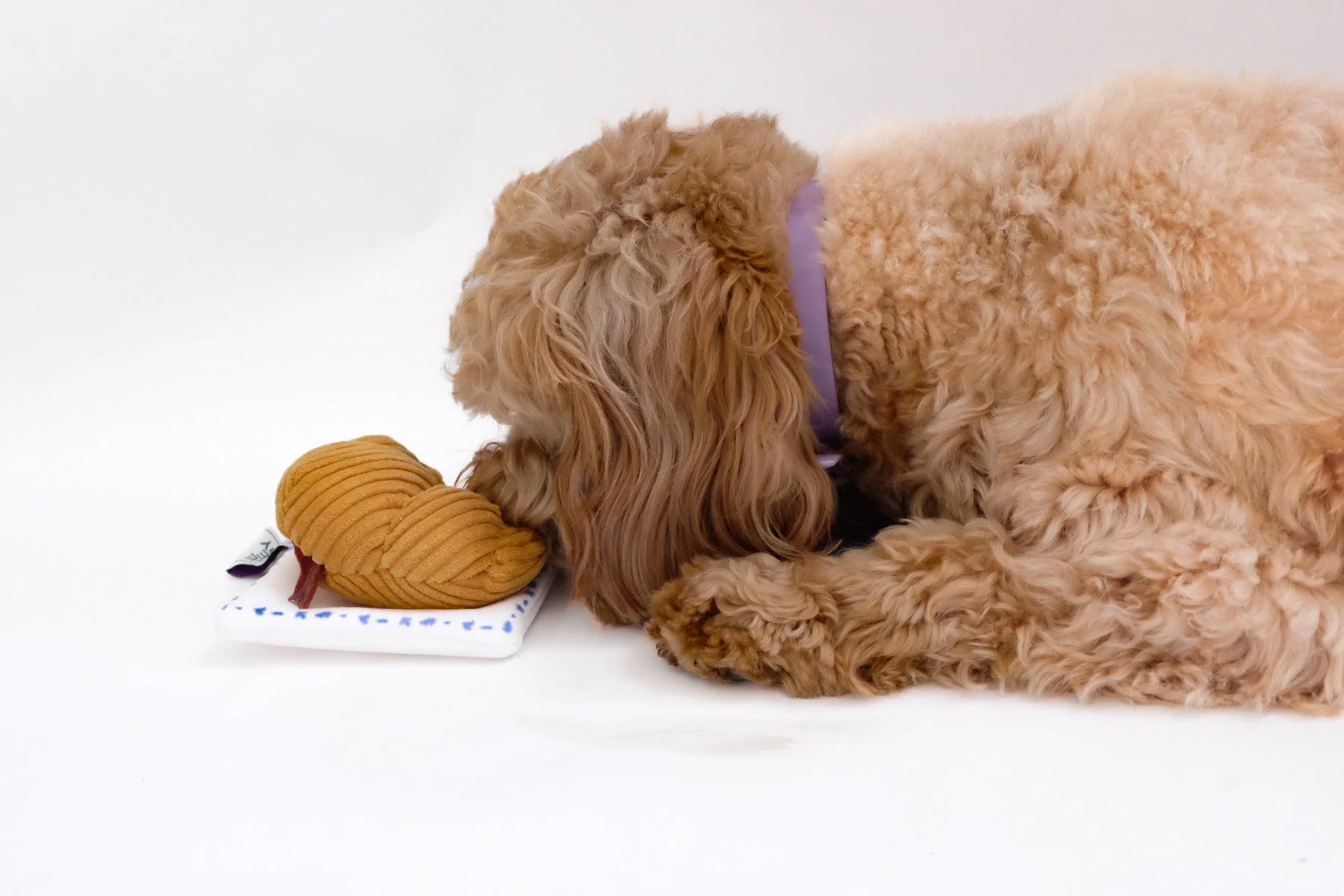 Croissant Nose Work Toy / Enrichment Toy - Image 3