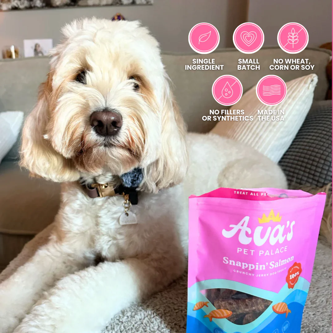 Crunchy Jerky Dog Treats - Snappin' Salmon - Image 3
