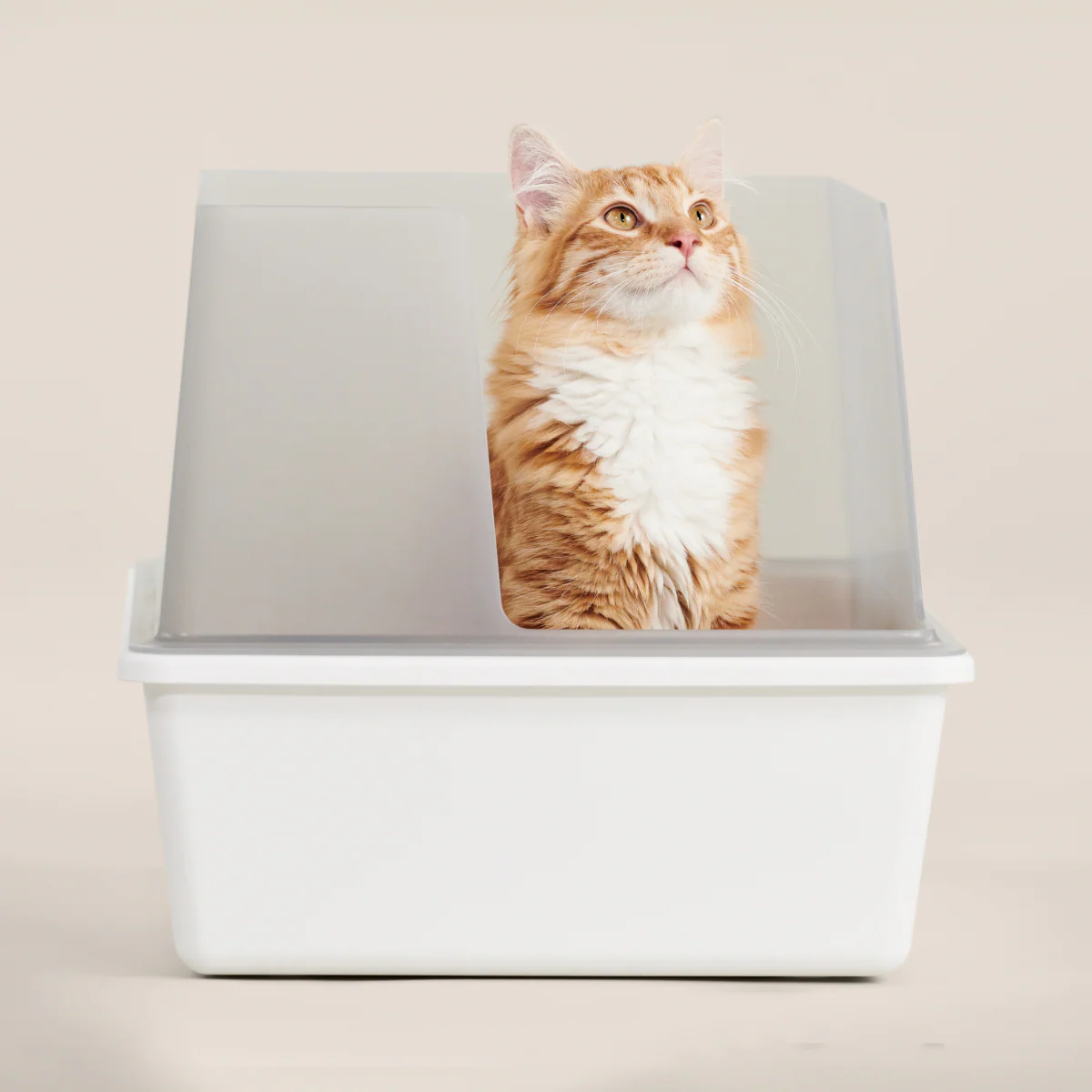 Cubby Litter Box - Image 6