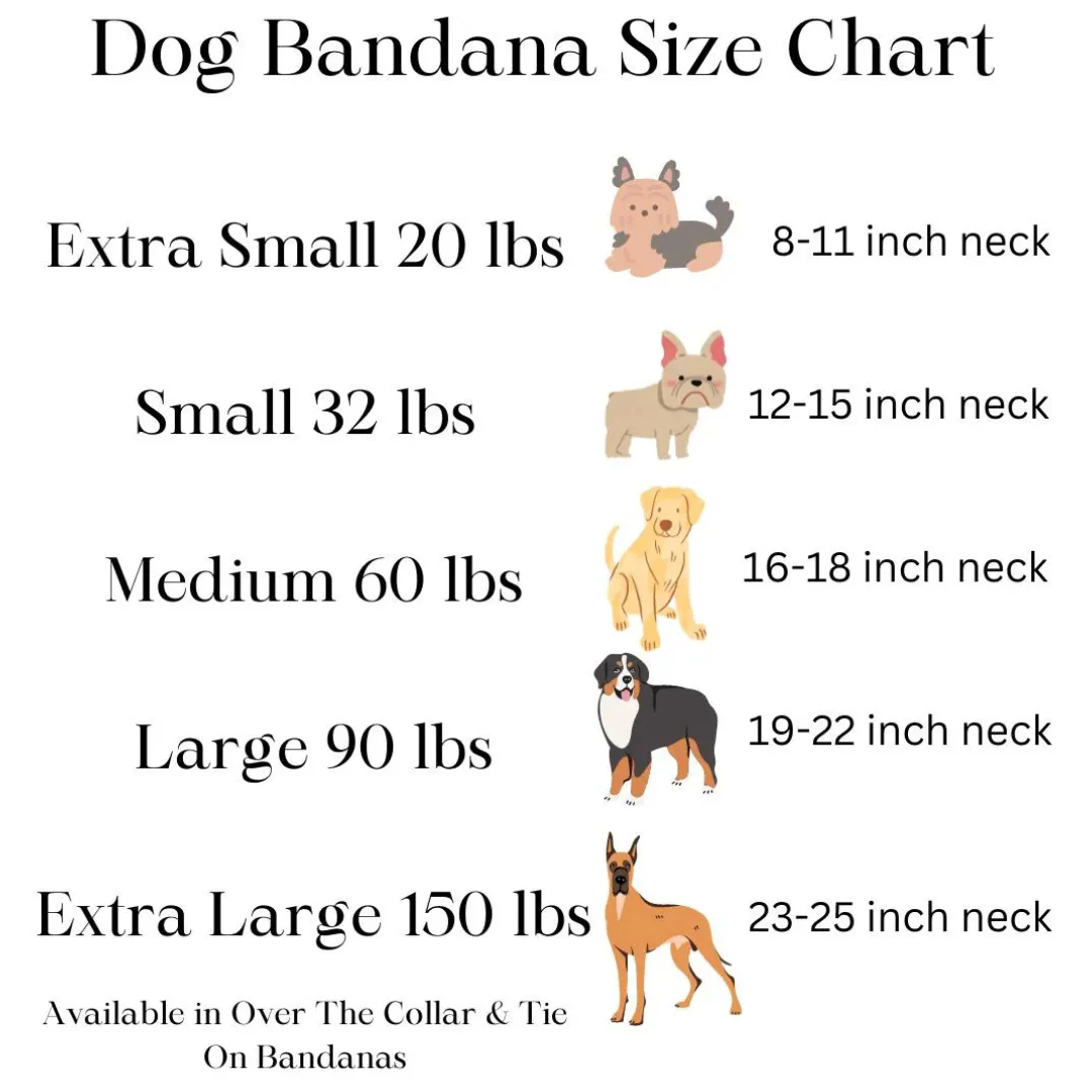 Daisy Dog Bandana - Image 5