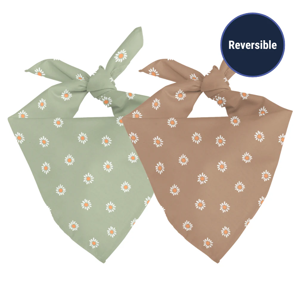 Daisy Dog Bandana - Image 2