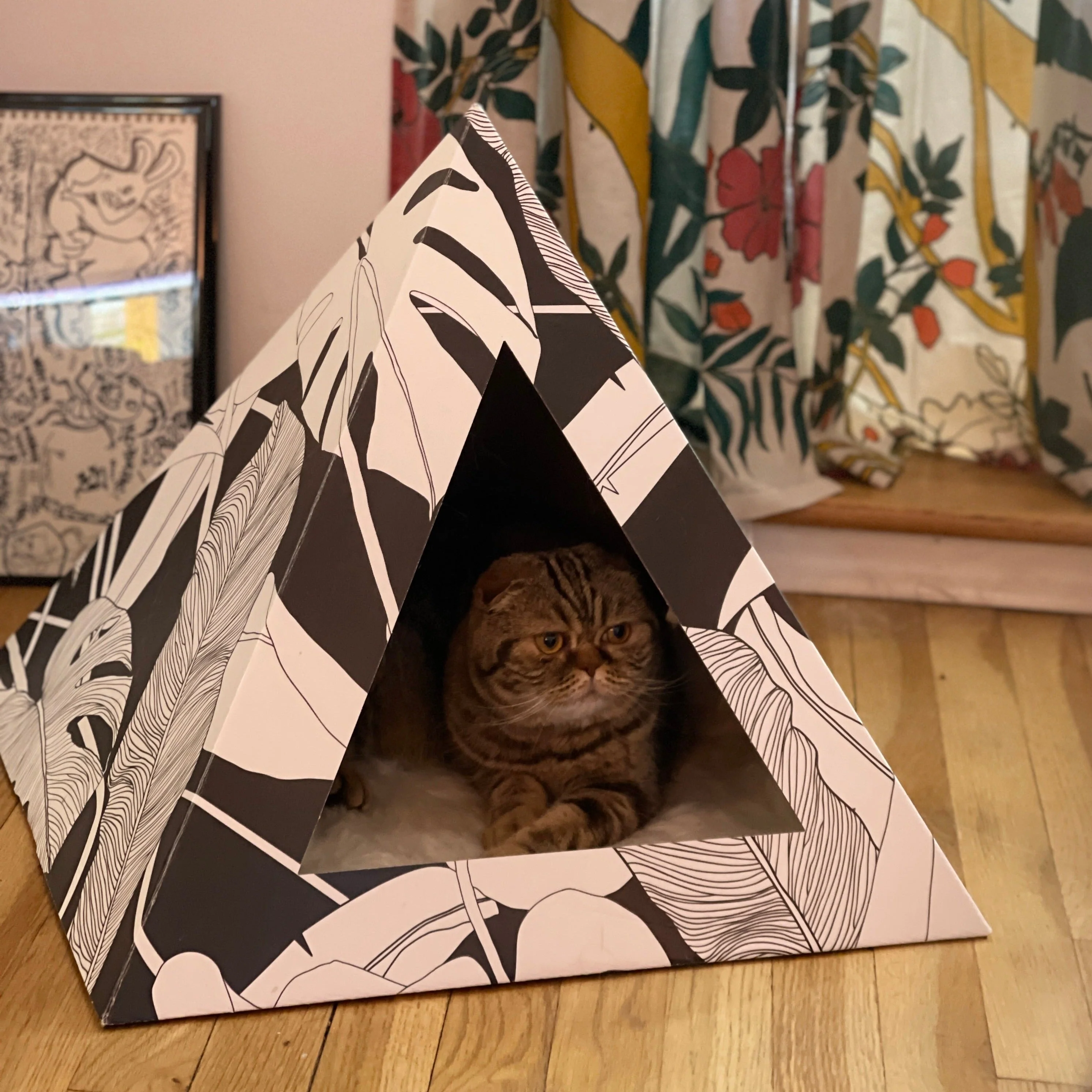 'Dark Paradise' Cardboard Cat Pyramid - Image 2