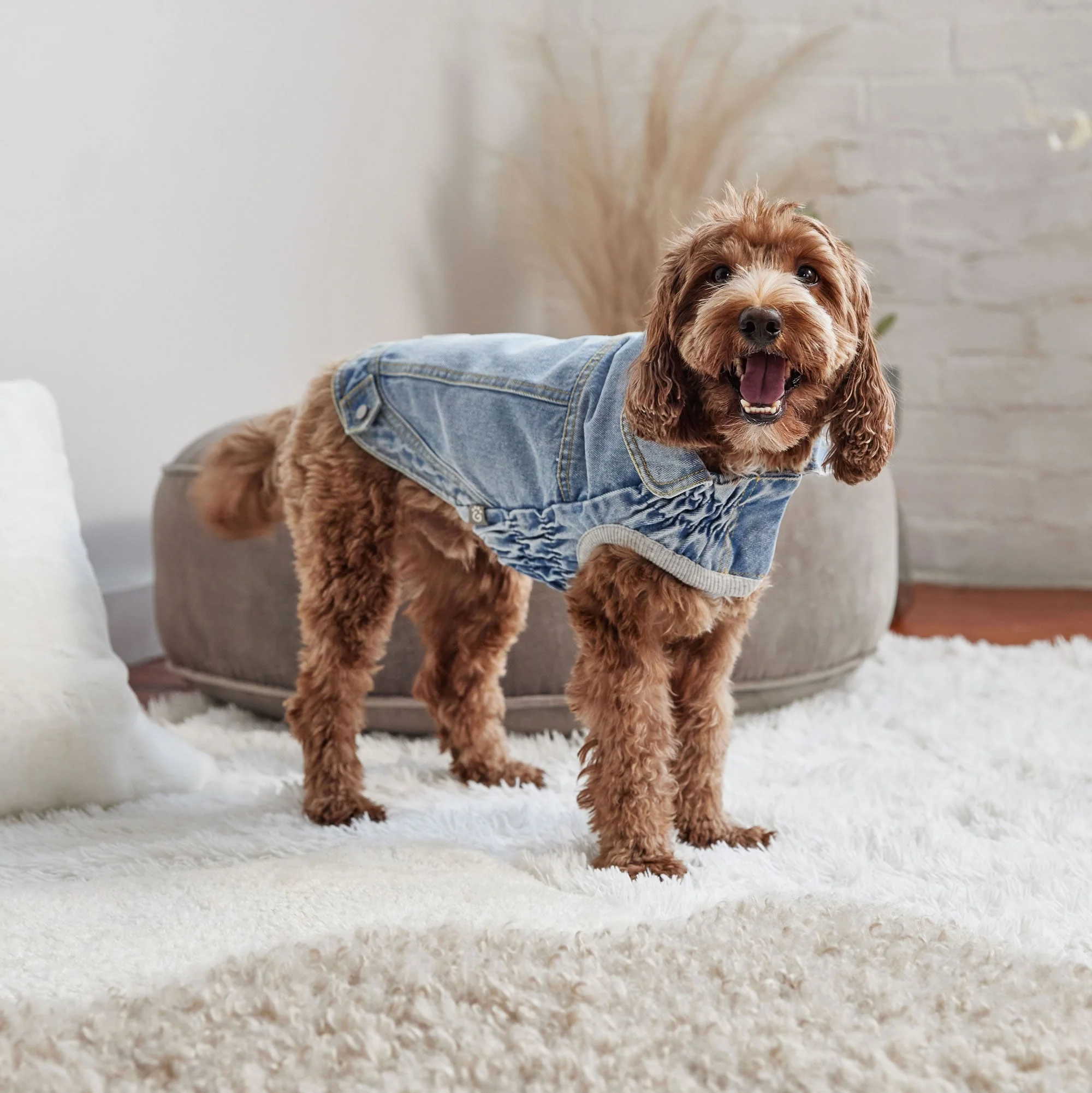 Denim Jacket All Season - Light Wash - Image 7